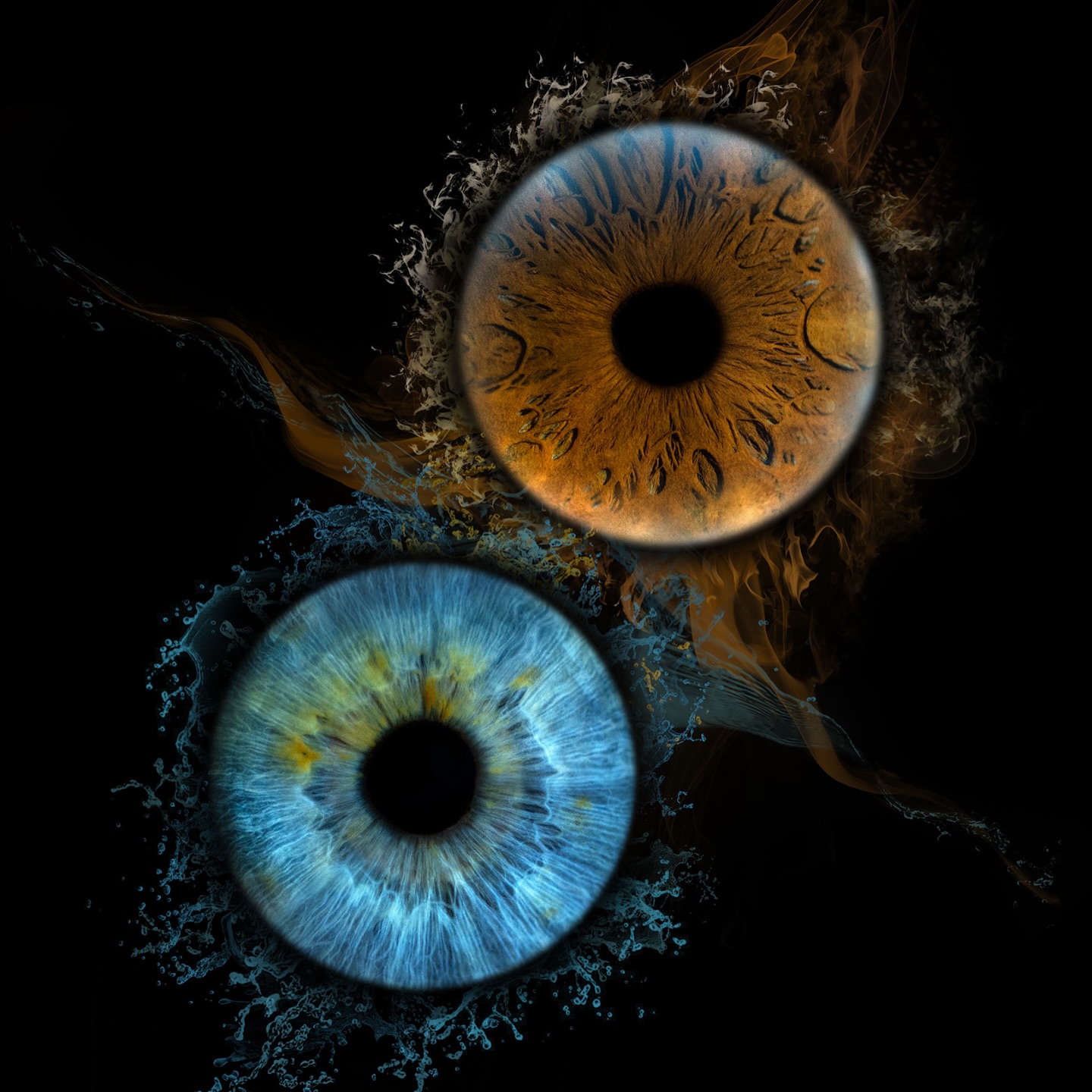 Absolutely stunning combo, two eyes are so contrast but complement each other so much 🧡💙
#irisgalleri #eyephotography #irisphotography #macroeye #irisart #eyecloseup #eyemacro #uniqueeyes #eyeartwork #irisportrait #norskfotograf #fotokunst #kunstfoto #oslofotograf #norwayphotography #visitnorway #norgebilder #mittnorge #norwegianart #osloartscene #macrophotography #fineartphotography #irisdetails #eyestagram #oslobusiness #norwegianphotographer #norwayart #artinnorway #creativephotography #irisphoto