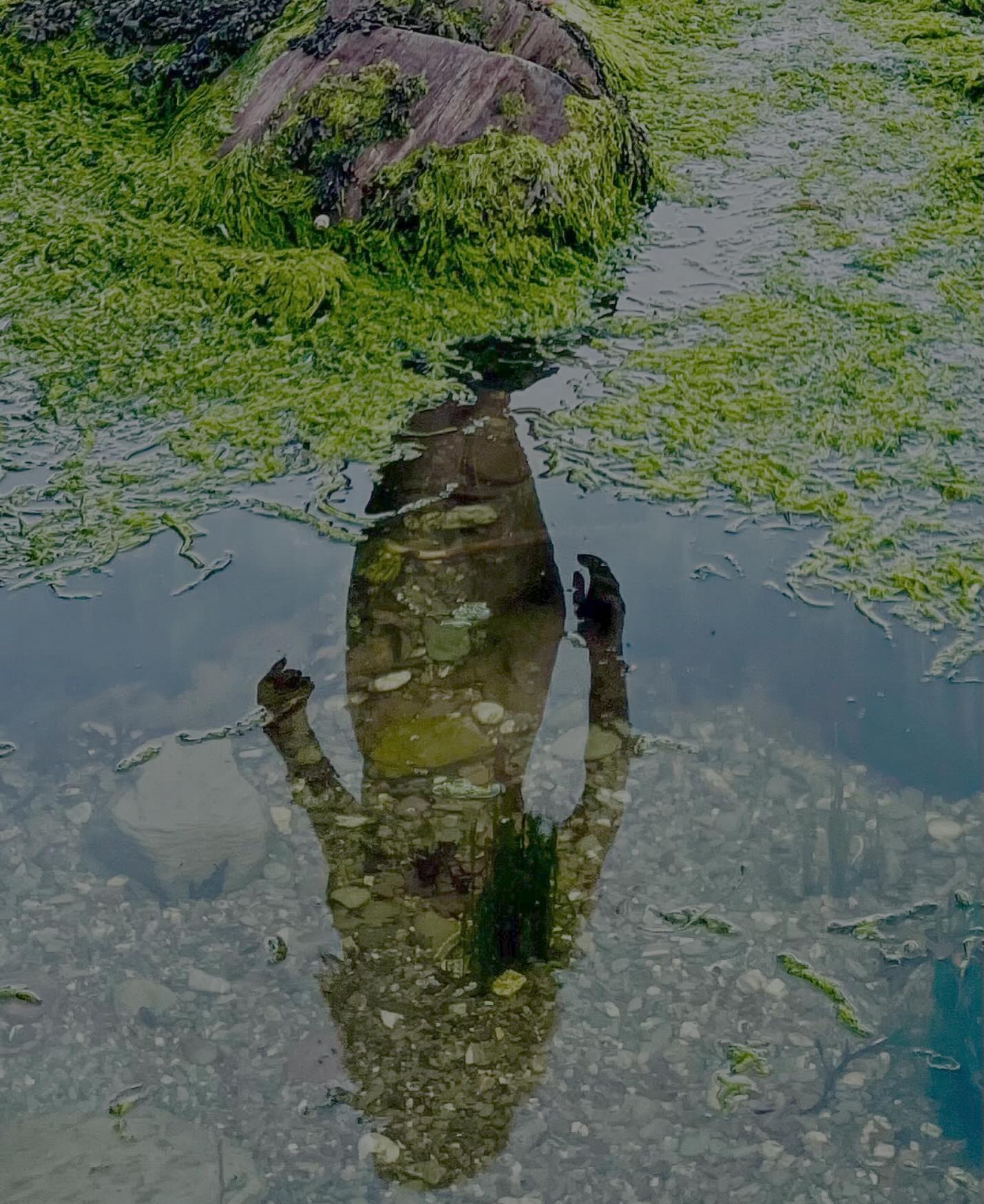 “Water is the mirror of nature.”#worldearthday #lovenature #love #stillwater #protect #respect #caring #mothernature #protectwater #waterislife #wild #earth #share #happiness #swimwild #angelajones #nurture #restorenature #mirror #free #breath