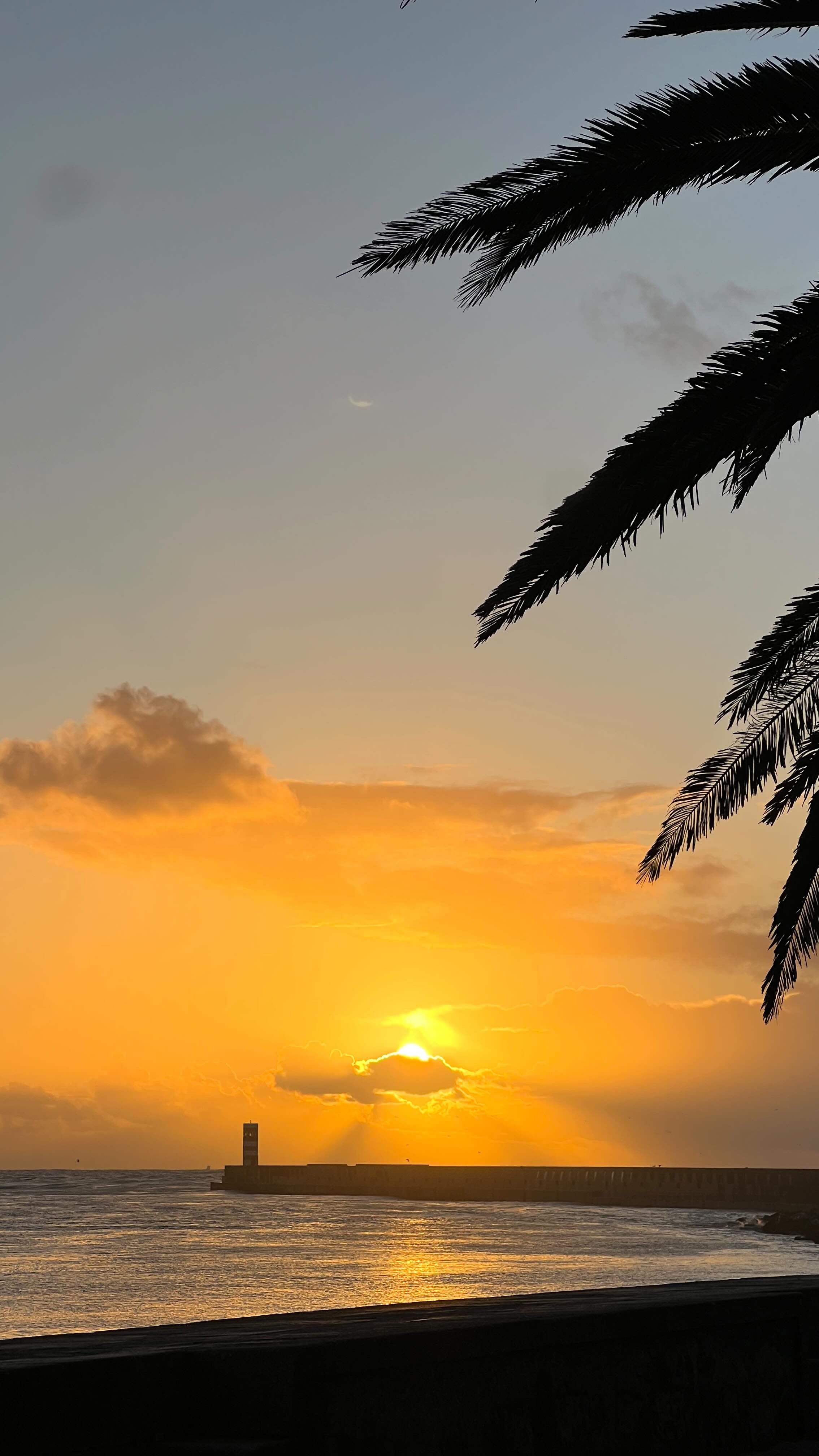 Magical sunrises at Moinho house ☀️