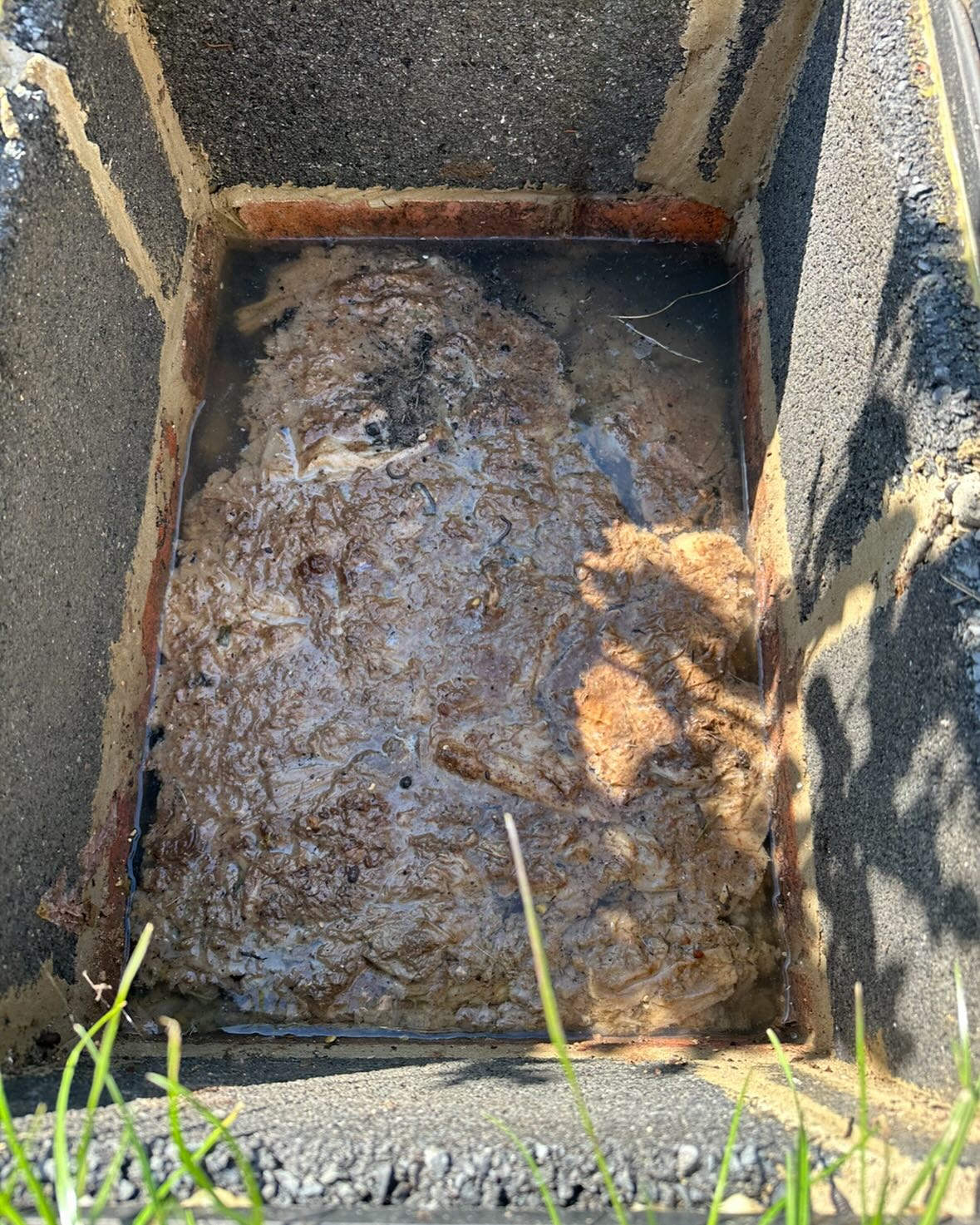 🚨 Blocked Drains? We’ve Got You Covered! 🚨
At Unique Drains, we specialize in fast, efficient, and reliable drain unblocking services! 🛠️
💧 Whether it’s a blocked manhole or any other drainage issue, our expert team is ready to tackle it with the latest technology.
✅ Why Choose Us?
• 24/7 Availability – We’re always here when you need us.
• Expert Technicians – Fast, reliable, and friendly service.
• Affordable Prices – No hidden fees, just quality work.
• Fully Equipped – We use the latest tools for the job.
📞 Don’t let a blocked drain disrupt your day! Call us now on 07454607057 or visit www.uniquedrains.co.uk
Let us keep your drains flowing smoothly! 🌊
#DrainUnblocking #PlumbingServices #UniqueDrains #BlockedDrain #DrainExperts #ReliableService #drainunblockingpoole
#drainunblockingbroadstone
#drainunblockingoakdale