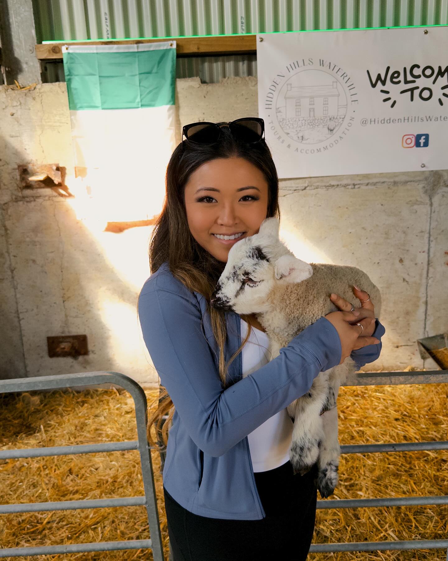 chat, how do i smuggle a lamb into america