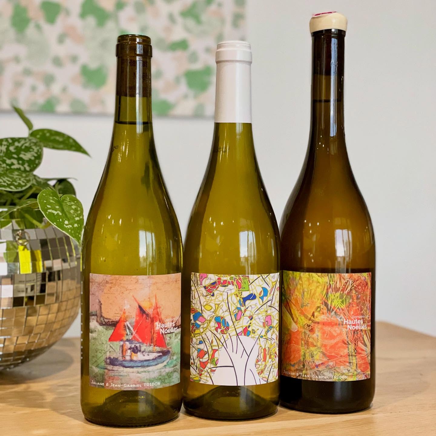 LES VINS 🍷
@leshautesnoelles
Les vins de Juliane et Jean-Gabriel ont un caractère droit et vivant, marqués par le salin et de magnifiques amers en finale. On retrouve ce côté océanique dans les vins, lié à la présence ancienne de la mer sur ce vignoble.
L’amphore va aider le vin à se présenter sous son meilleur angle, dans une cohérence du mouvement des fluides, avec esthétisme.
Retrouvez au catalogue les cuvées :
・AOC Gros Plant du Pays Nantais « Le Grand Frais » Folle Blanche
・Muscadet « Les Parcelles »
・IGP Val de Loire « Florès » Grolleau Gris
・IGP Val de Loire « Galénée » Grolleau Noir
・IGP Val de Loire « Voulez-vous Gamay avec moi »
#dbselection #domaineleshautesnoelles #loire #muscadet #grosplant #lacdegrandlieu #folleblanche #melondebourgogne #grolleaugris #grolleaunoir #vin #vinfrancais #vigneron #instawine #winetime #lyon #lyonnaise #lyonnais