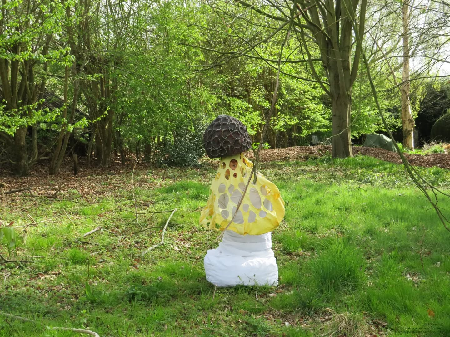 Very recent work that needs to be seen !! Costume of a Yellow Netted Stinkhorn/Yellow Bridal Veil Stinkhorn all made by me ! (You wanna see in person come to Oxford fashion gala)
'Phallus multicolor' 2025
Polystyrene, newspaper, acrylic paint, fabric, aluminium wire, stuffing,
#mushrooms #fineart #bafineart #contemporaryart #perfomanceart
#performance #stinkhorn #costume
#artist #mushroomcostume #fashiob