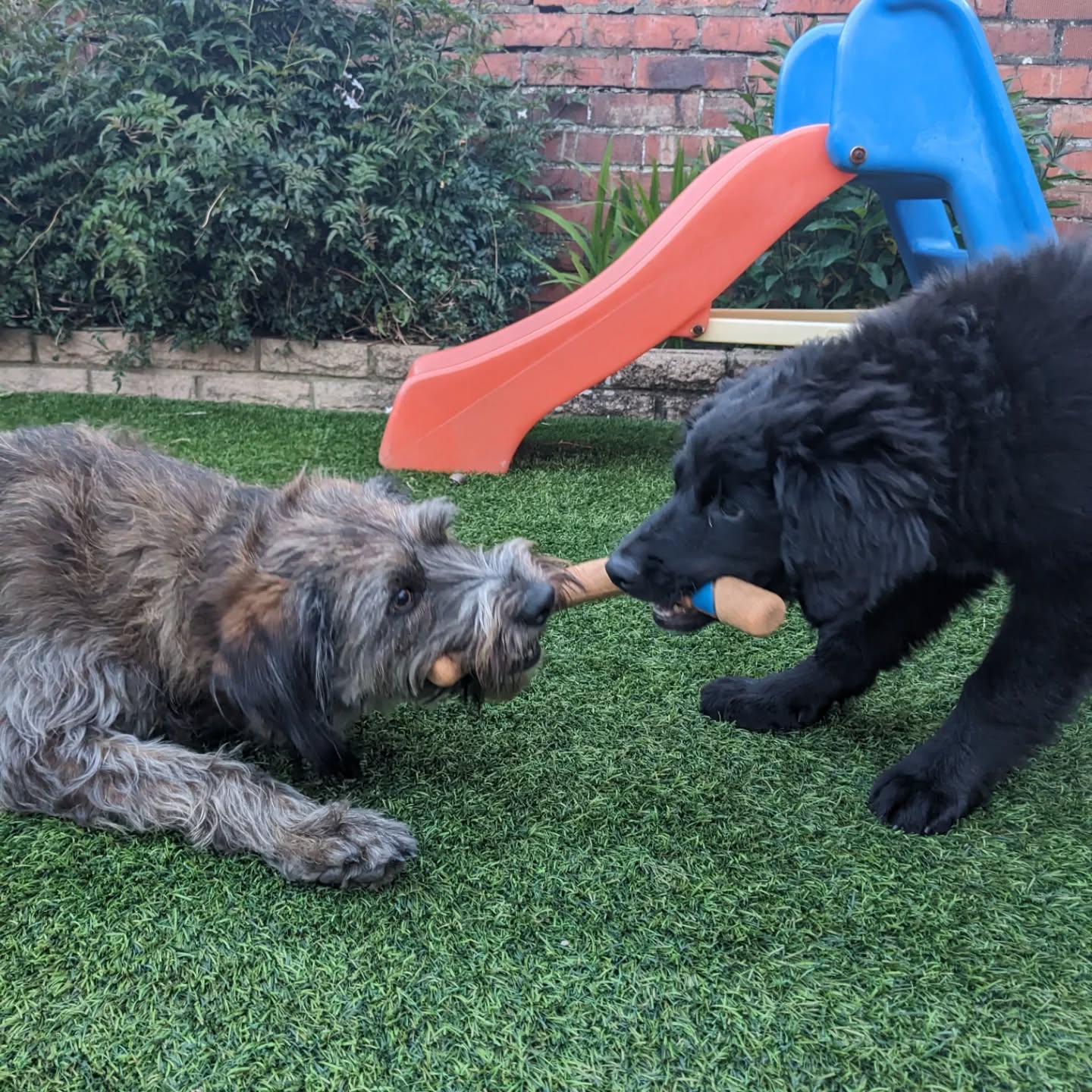 Then --> Now
Same toy, Same game, different rules.