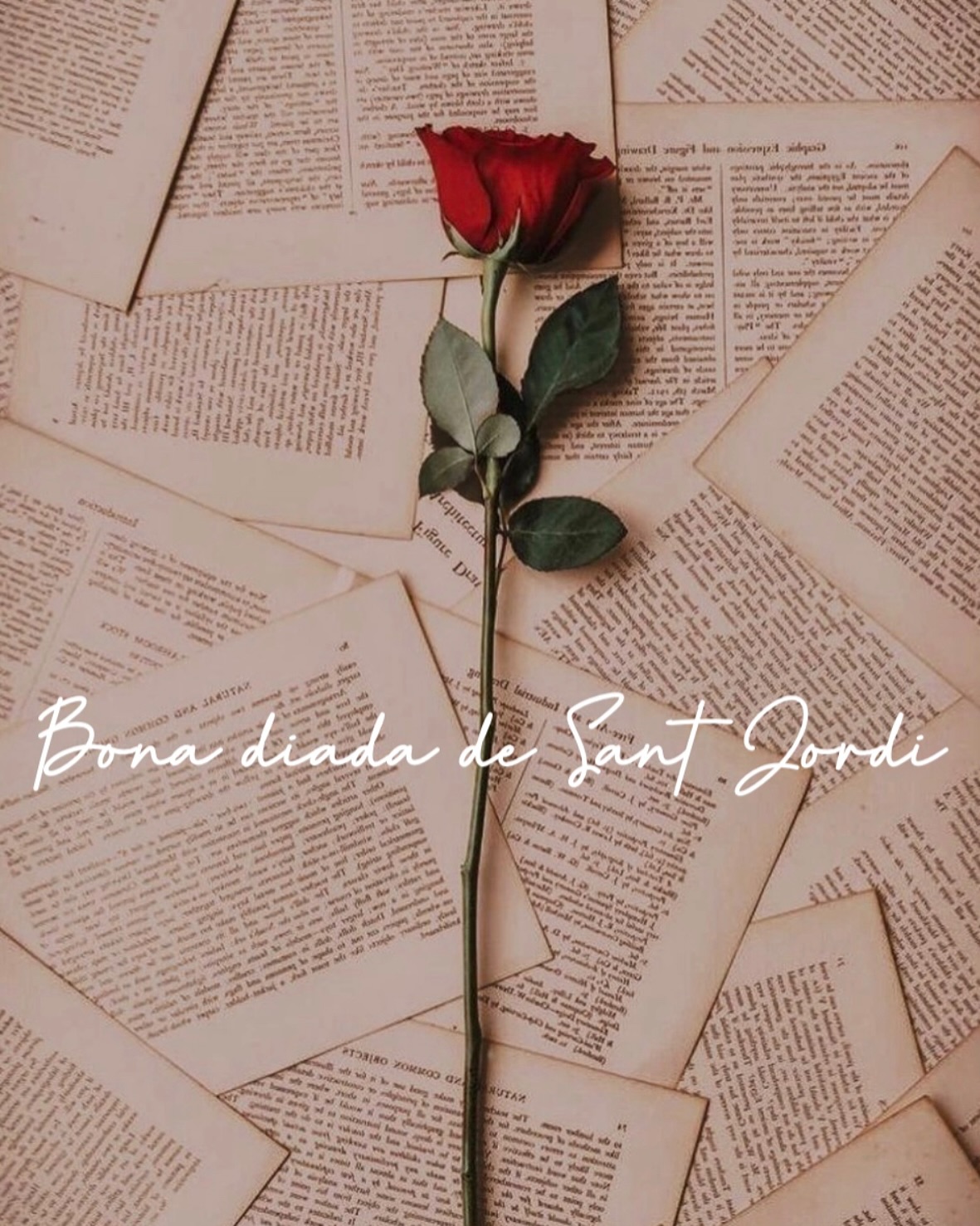 Una de les tradicions que més ens agraden!.
#diadasantjordi2025 #atlansbd#cuinaambamor❤ .