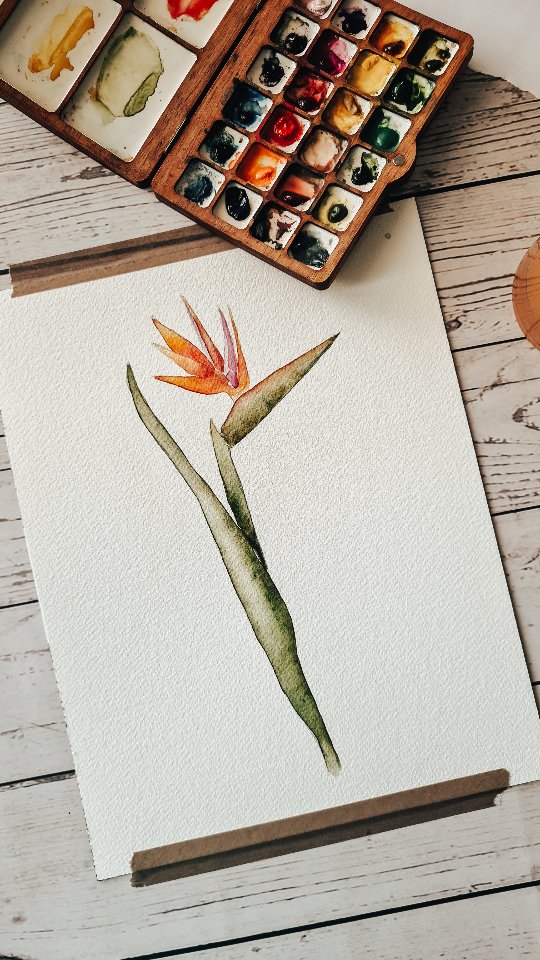 Not tired of showing you all the lovely projects inside our next Watercolor Study. Launches next Monday!
🌿🎨🌻
#homeschoolstudyunit #middleschoolhomeschool #highschoolhomeschool wildandfreehomeschool #homeschool