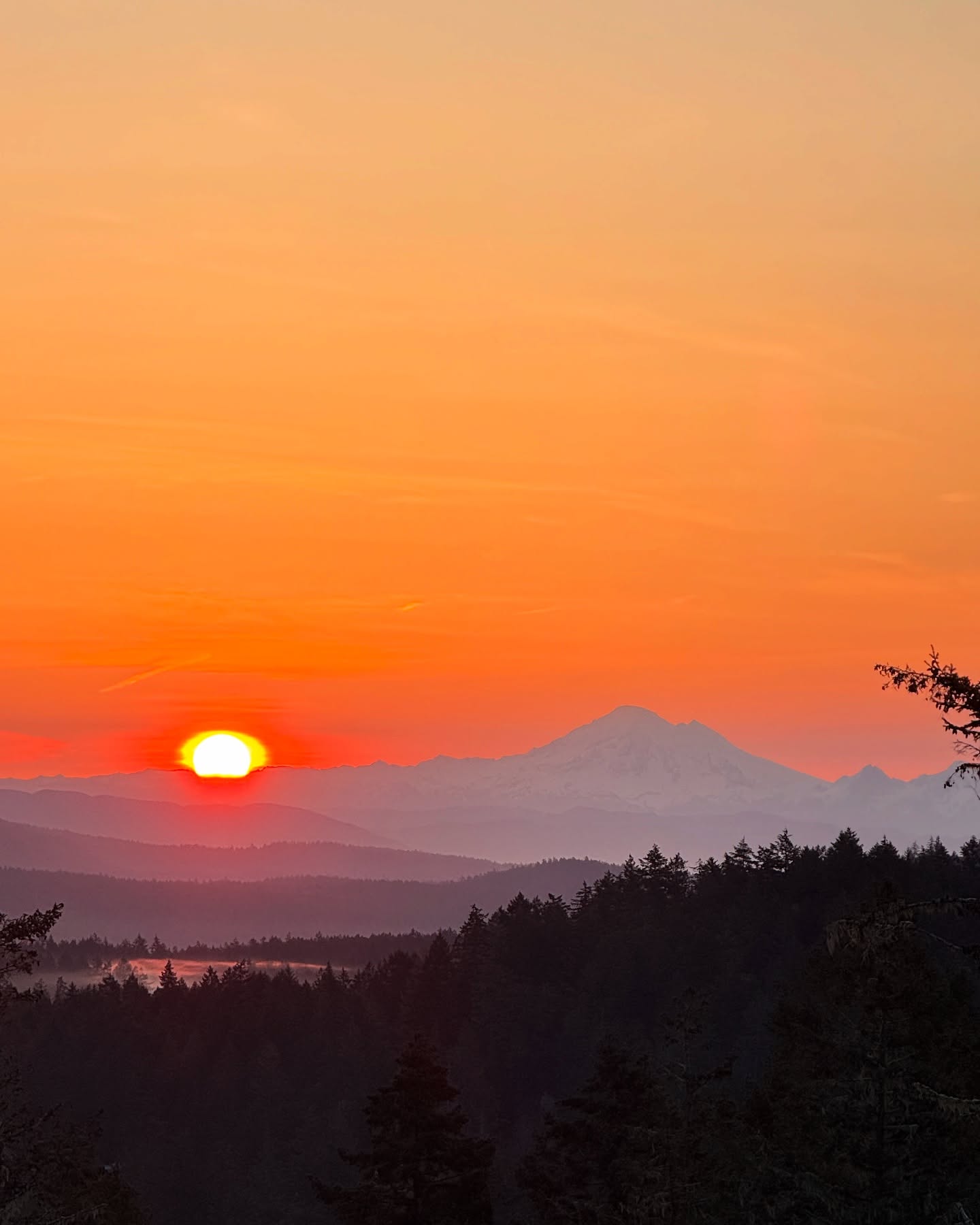 This view just never gets old! #pnw #sanjuanislands #earthday#architecture_hunter