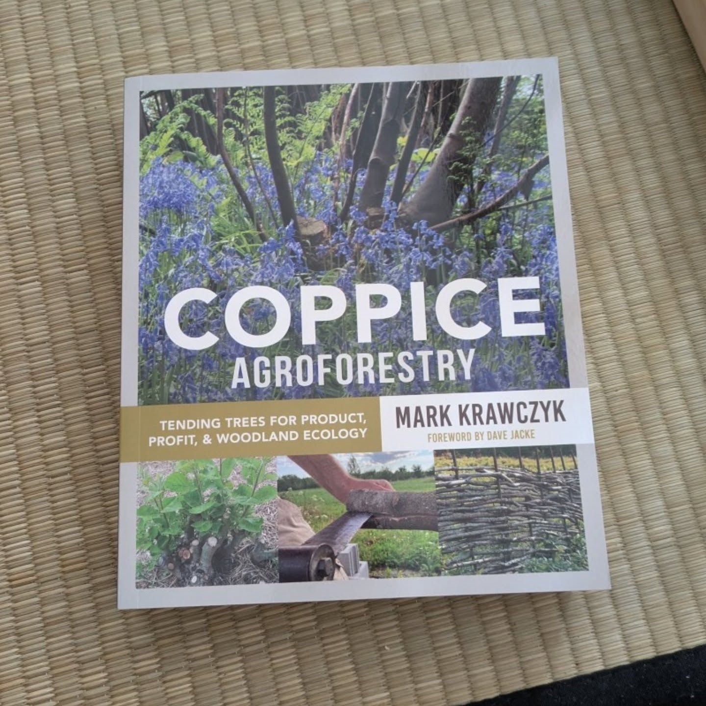 Been wanting this one 👍 #coppice #agroforestry