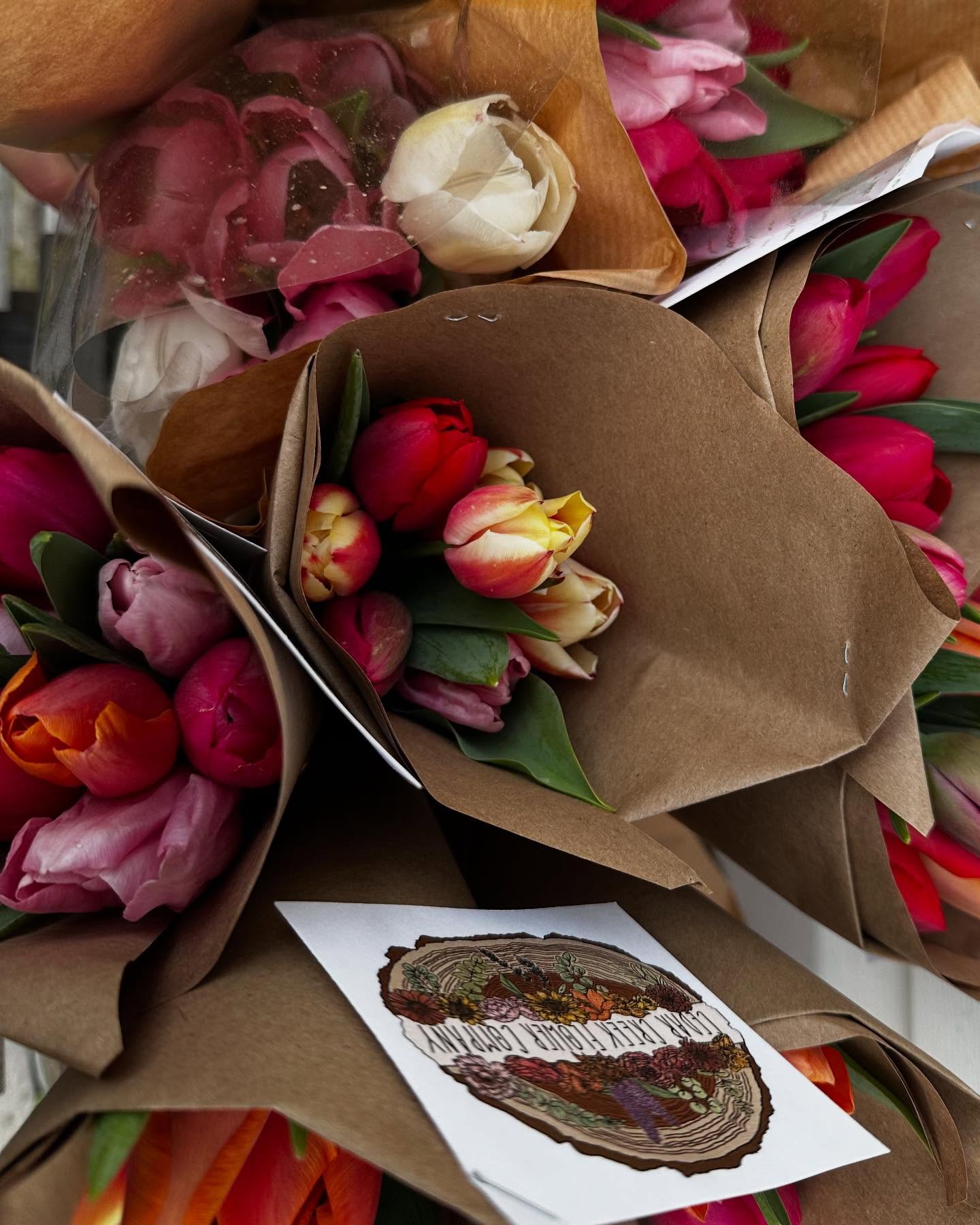 Happy Spotlight Saturday! How beautiful are these tulips from @cedarcreekflowerco!? If you’re near Anson County, NC be sure to message her for a bouquet and check out her super cute custom logo that features flowers that represent all of the women in her family!
•
•
•
#design #digitalart #digitalmarketing #graphicdesigner #graphics #creative #designinspiration #graphic #artist #digitalillustration #illustration #logodesign #smallbusiness #sketchbook #nature #flora #fauna #flowers #animals #trees #mountains #environment #designwork #procreate #flowerfarm #cedarcreek #cedarcreelflowerco