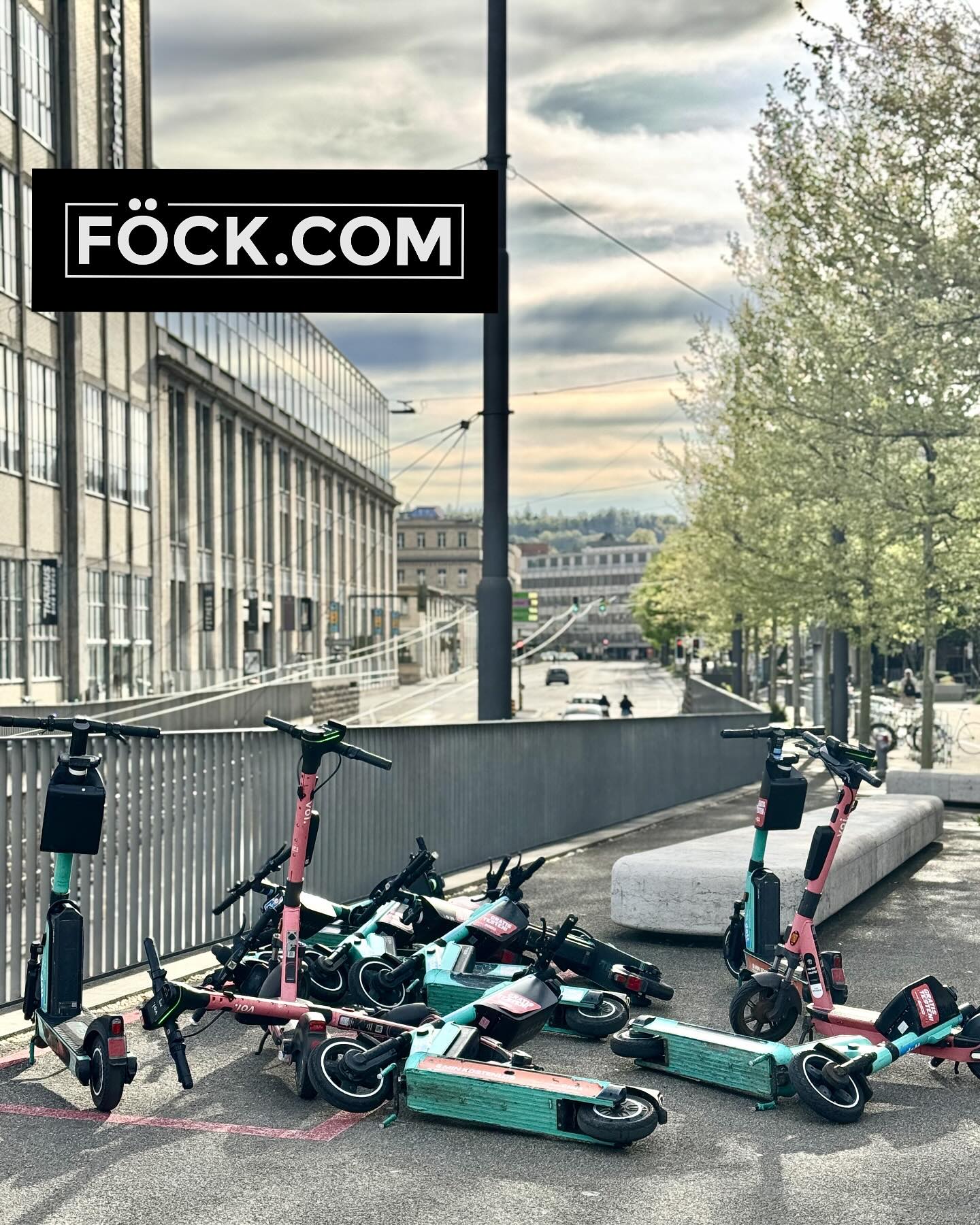 Natürliche Evolution 🙏🏻