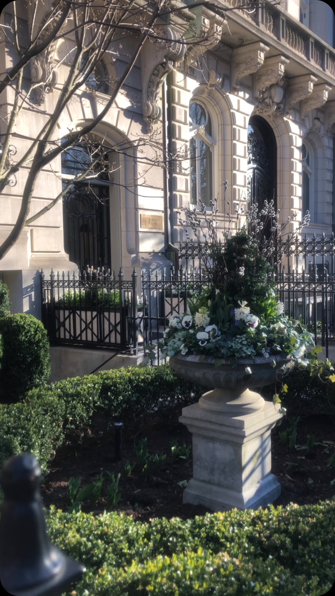 Enjoy the springy, sunshiney weekend!! ☀️ 🌈
.
.
.
.
.
#citygarden #garden #gardendesign #growsomething #gardenlove #boston #backbay #containergarden #gardenstyle #instagarden #landscaping #outdoorliving #outdoordecor #outdoordesign #gardenlife #curbappeal #windowbox #home #bhg #bhghome #bostonhome #rslove #plantlove #igboston #theprettycities #mytinyatlas #springtime #friyay #fridayvibes