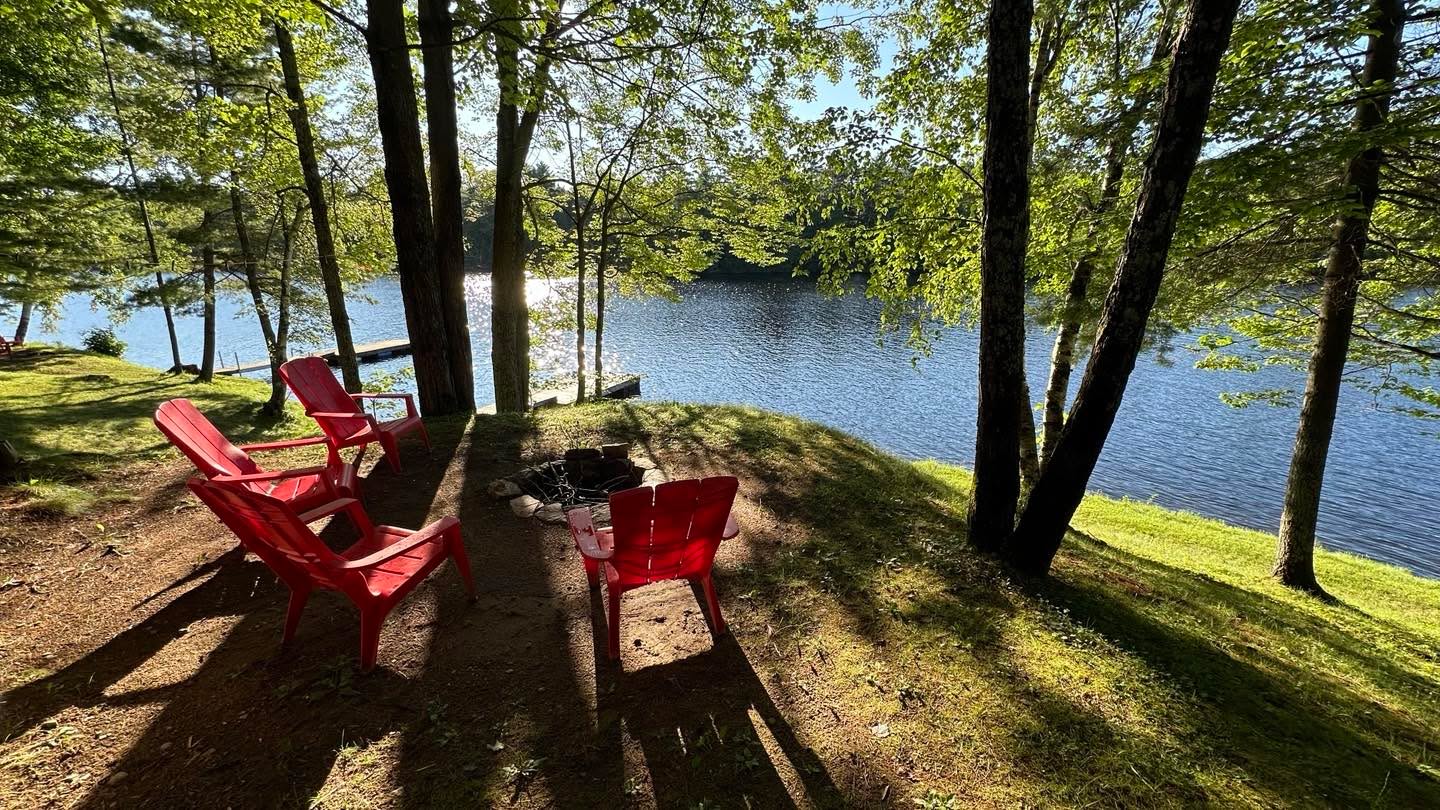Only a couple of cottages left for the summer!
Thanks to a few last-minute cancellations (bless those commitment-phobes), you’ve got a shot.
The world’s gone full tilt, but here the biggest drama is a woodpecker waging war on our hydro pole like it owes him money.
Grab your spot before he takes out the power grid.