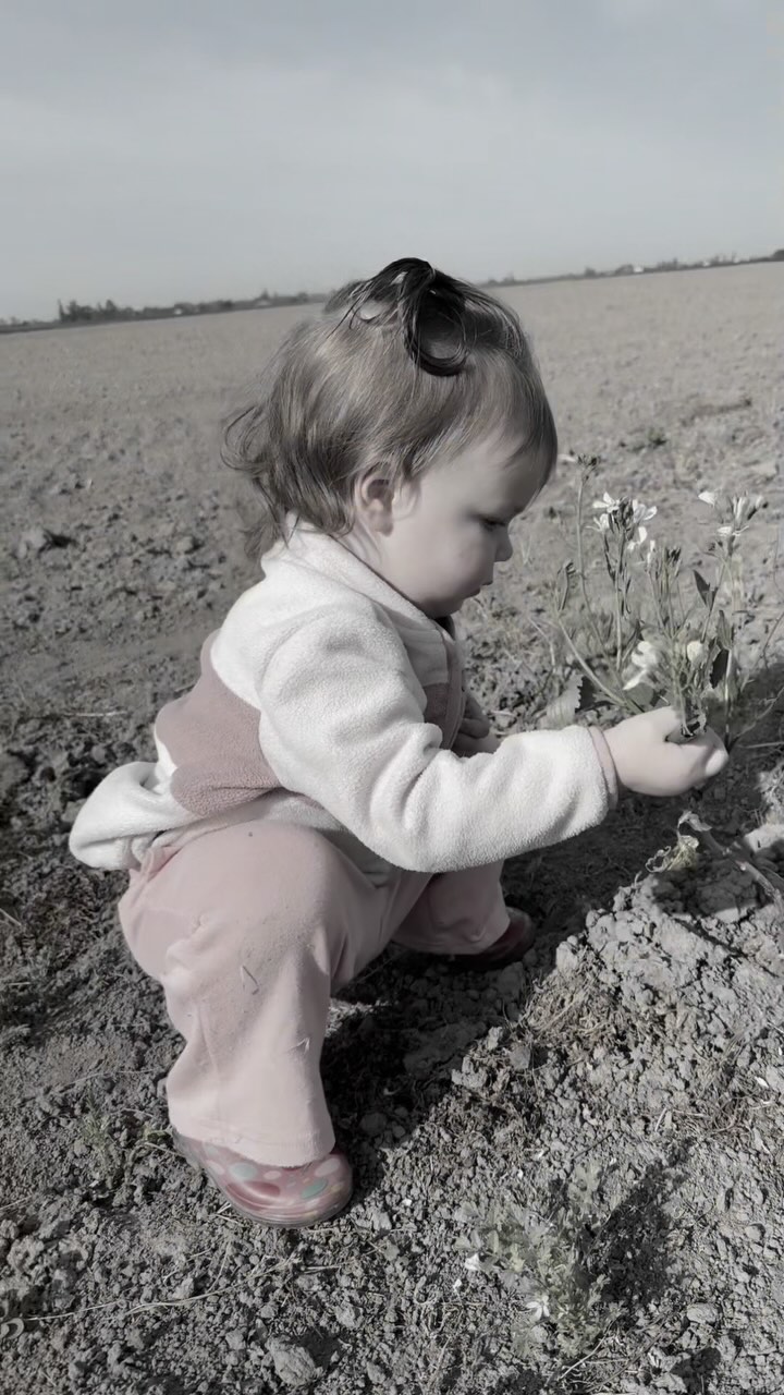 The start of this week, life’s felt heavy—parenting a teen, a toddler, and carrying the love for a daughter in heaven. This morning, I hit pause. No plans, no rushing. Just followed my toddler around the property and let her lead. Her wonder and simplicity reminded me of the beauty in slowing down. What a gift from God to reset my mindset and breathe in the moment. Sometimes, mental health starts with choosing presence 💜
#MentalHealthAwareness #EndTheStigma #MentalHealthMatters #SupportMentalHealth #BreakTheSilence #YouAreNotAlone #HealingTogether #MentalHealthSupport #MentalHealthAdvocacy #MentalHealthJourney #GriefSupport #HealingThroughGrief #GrievingMother #GriefJourney #LifeAfterLoss #GriefAwareness #HealingHearts #GriefAndHealing #MotherhoodAndGrief #GrievingMothers #MothersWhoGrieve #LivingWithGrief #GriefIsLove #LoveAndLoss #AlwaysKeepFaith #StrengthThroughAdversity #YouAreNotAloneInThis #StayStrong #TogetherInGrief