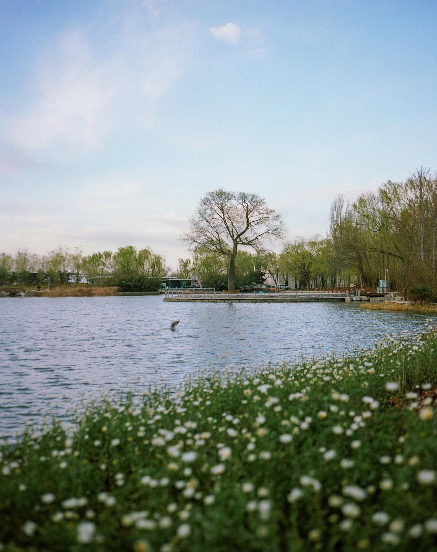 Hope everyone had a relaxing bank holiday weekend! What's on your list for this week?
#easter #bankholiday #todo