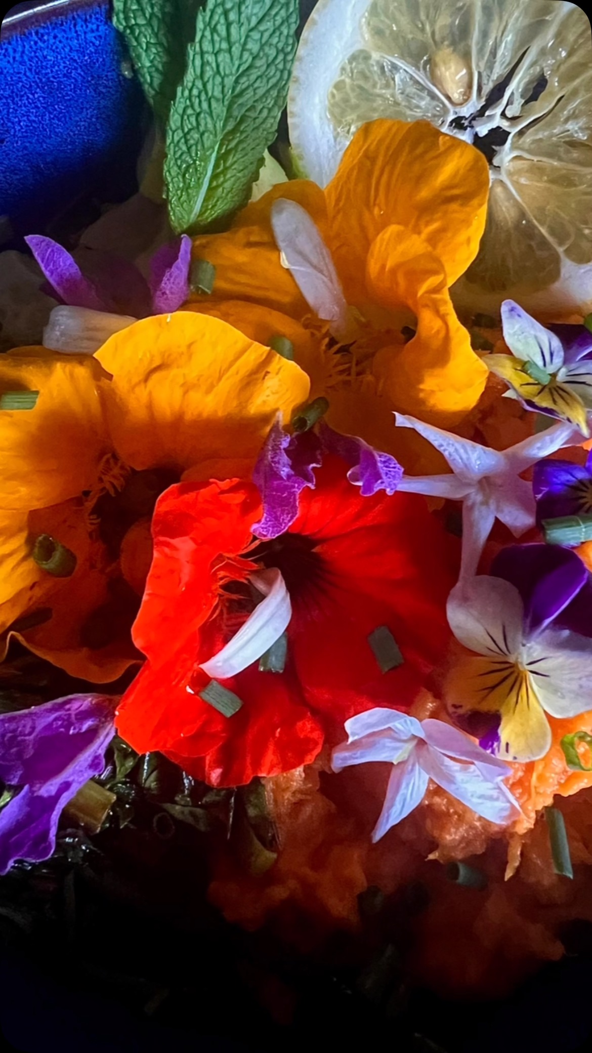 Got home from a week away and was like…shoooooooot…I don’t have anything to eat.
Then I remembered…thanks to the sacred lands of the Esalen Tribe…
We live in abundance.
Everything I need is right here…and…
It’s Spring…
So I took my hangry butt outside and got some dandelion and spinach leaves…
Flowers from violets, nasturtium, lemon and jasmine and lavender blossoms…
Snipped some mint leaves, chives and found one last lemon on the tree…
And one delightful sweet potato hanging out in the cabinet.
Just look at what real food looks like. Alive and vibrant. Bright colors and the fragrance…oh sooooo soothing…jasmine, lavender and citrus blossoms, oh my!
….The most beautiful homecoming.🌸💕