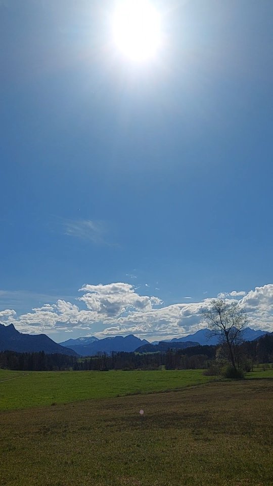 Die Samerberger Filze - zu Fuß in einer viertel Stunde von unserem Hof erreichbar!
#filzesamerberg #filze #spaziergang #wandern #frühling #frühlingswiese #urlaubaufdemsamerberg #urlaubindenbergen #cat #ferienmachen #ferien #ferienwohnungen #ferienwohnungsamerberg #weissnhof_samerberg #weissnhof #hochries #wanderhöfe #wanderhöfesamerberg #samerberg #servussamerberg
