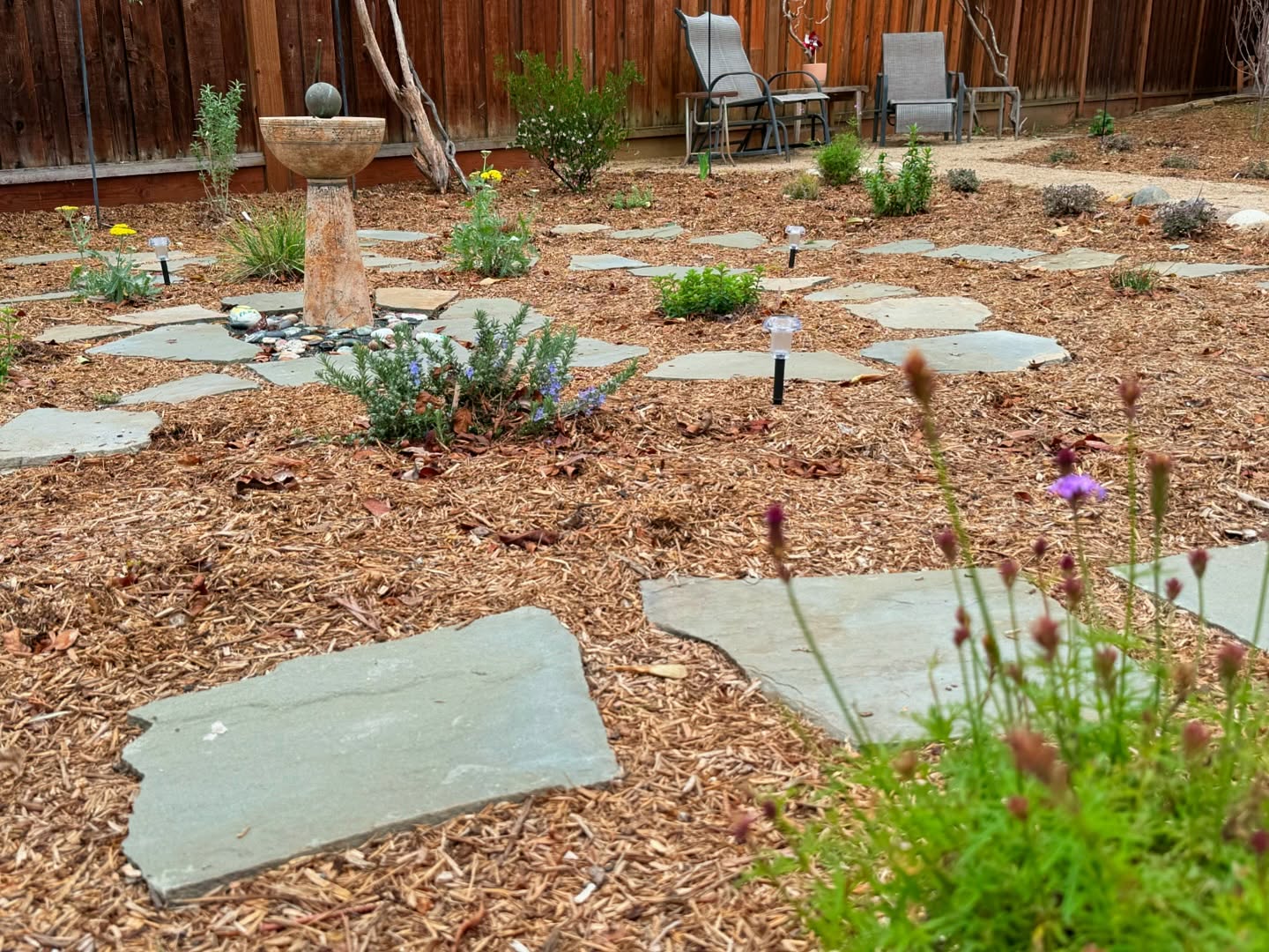 This labyrinth provides a calming location to meander between the flowers and be present in the moment. The flowers will fill in to create an intimate space. It was installed in the fall of 2024, and photo taken in the winter.
.
.
.
#landscapedesigner #landscapedesign #sustainablelandscapedesign #labyrinth #californianativeplants #californialandscapedesign #outdoorliving
