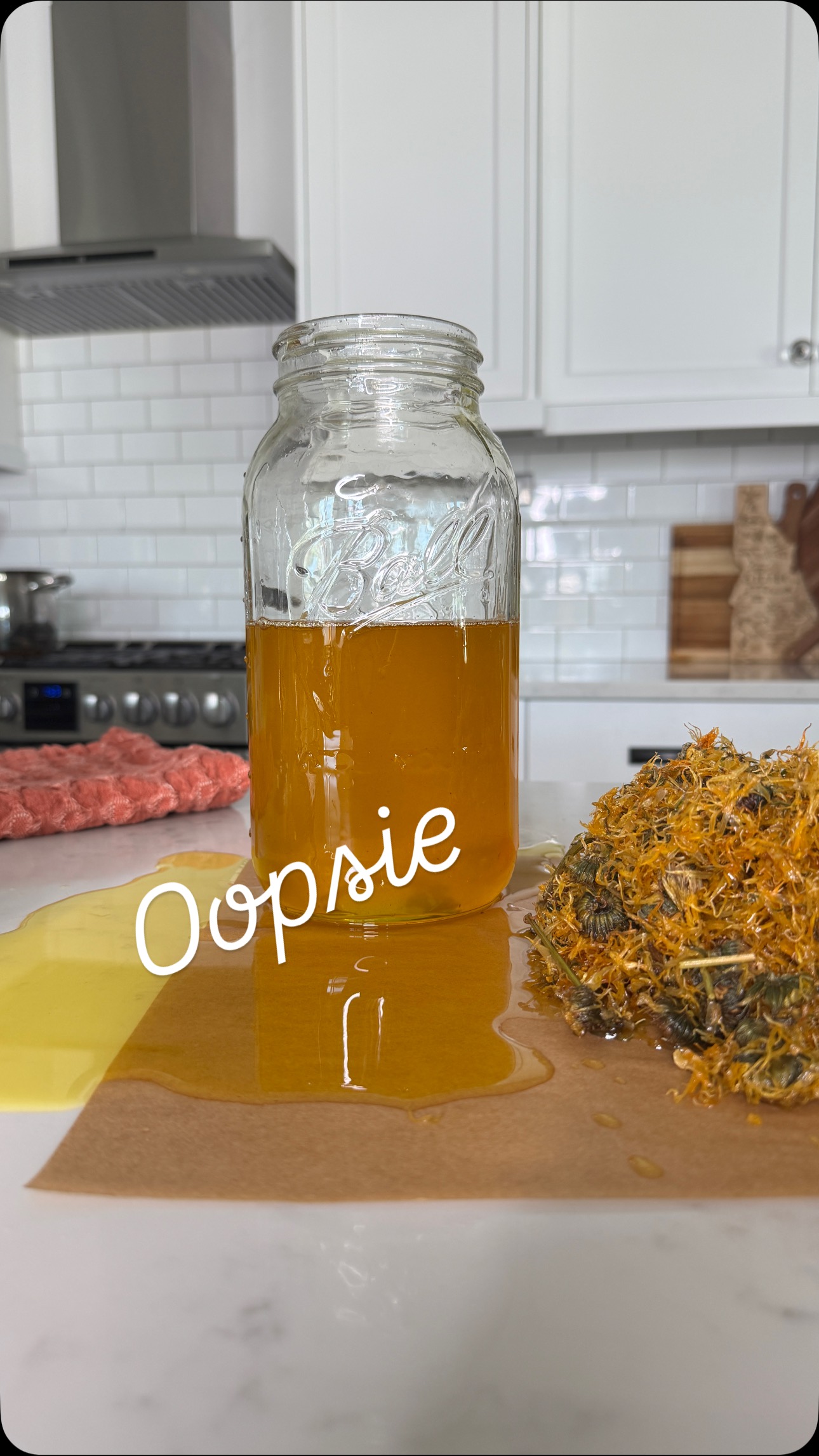 🎬 Behind the scenes, Wyld Terra-style.
Yep… this is real life. I spill things. Even precious, slow-infused things.
I had just strained out a big jar of organic cold-pressed jojoba oil that had been soaking up all the goodness of dried organic calendula flowers for weeks. Golden, herbal magic.
Then came the pour.
Cue: overconfident wrist action.
Result: jojoba oil everywhere except the jar it was supposed to go in.
This was supposed to be the base for a little something I’m working on for fall, so yes—part of me wanted to cry. But after the initial shock wore off, I just had to laugh.
Because honestly? That’s how it goes sometimes. 🤷🏼♀️
#wyldterra #wyldterraskincare #tallowskincare #infusedoils #holisticskincare #slowliving #slowskincare #naturalskincare #skincareproducts #bloopers #behindthescenes