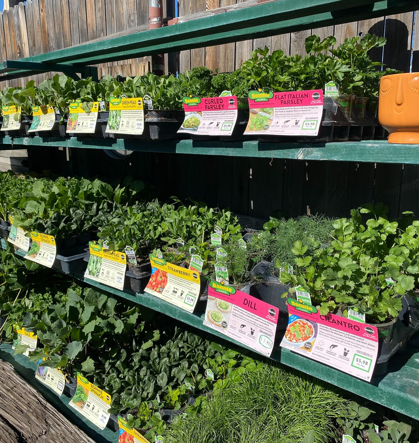 Cool season crops (and tomatoes!!) available at the garden center now! Come get your garden started with us
Open 10am-4pm Friday-Monday this week