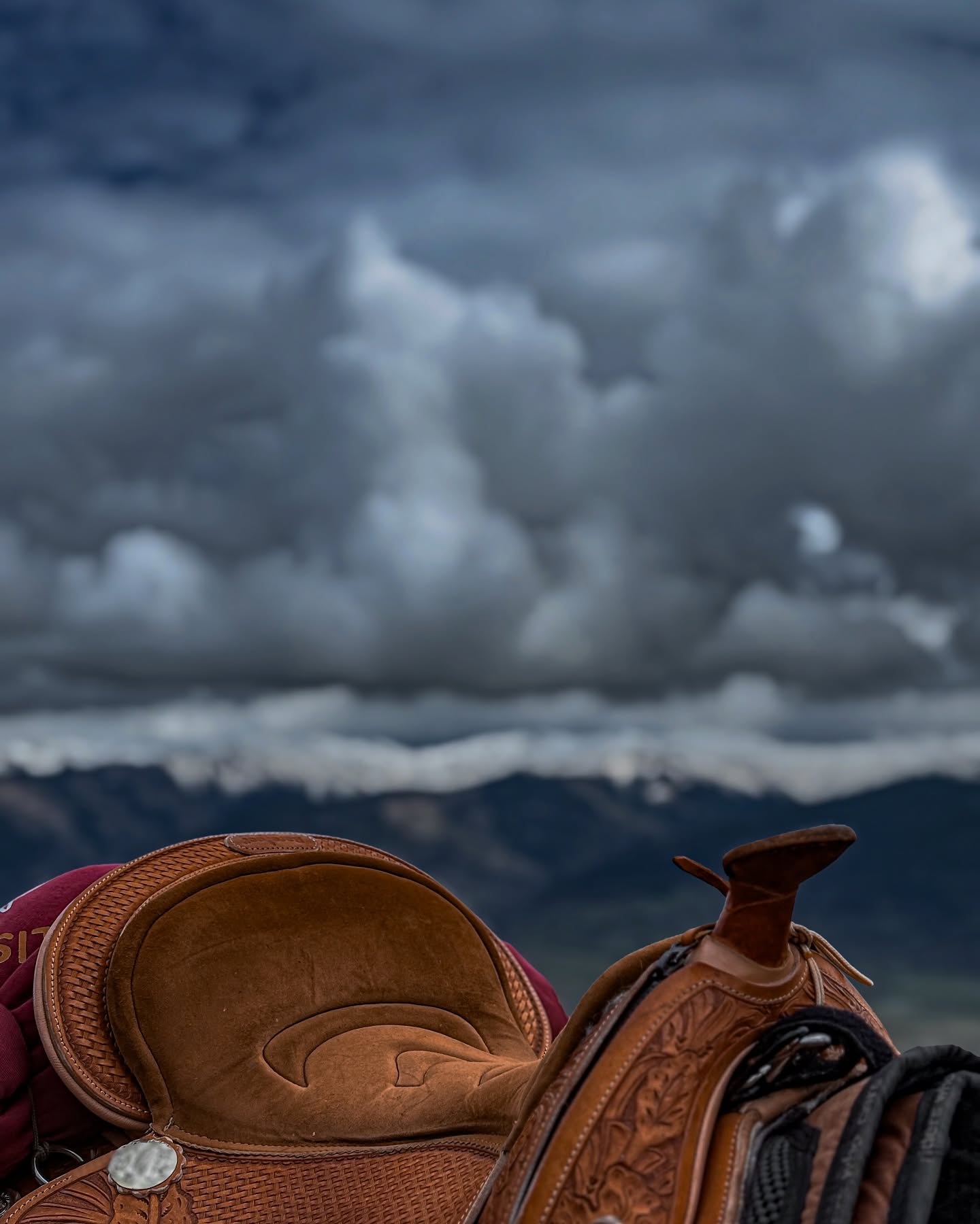 🇫🇷 Nature sauvage.
Les caprices de nos ciels d’avril nous offrent des panoramas aux contrastes et aux lumières extraordinaires sur les cimes Cerdanes encore enneigée.
🇦🇩 Natura salvatge.
Els capritxos del nostre cel d’abril ens ofereixen panoràmiques de contrastos i una llum extraordinària sobre els cims cerdans encara nevats.
🇬🇧 Wild nature.
The whims of our April skies offer us panoramas of extraordinary contrasts and light over the still-snow-capped Cerdana Mountains.
@pnrpyreneescatalanes
@pyrenees.cerdagne
@pyreneesorientales_tourisme
@cre.occitanie
@dorresvillage
#mountains #snowedmountains #montagnesenneigées #cerdanya #cerdagne #pyrenees #pirineus #southoffrance #aprilsky #springvibe #horselife #lifewithhorses #ridewithconnection #sansmors #sansfer #domanatural #equitation