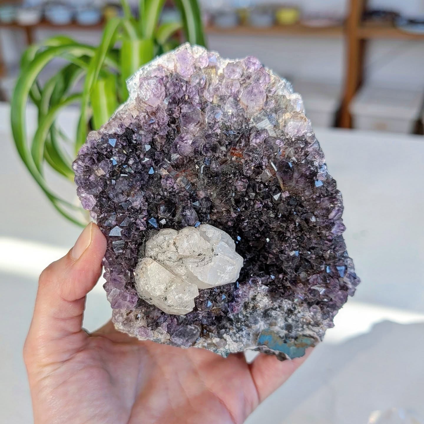 Preparado/a para conhecer mais sobre cristais?!
Nos últimos 2 anos reduzimos as nossas publicações, com muito tempo sem publicar, tivemos inúmeros desafios na nossa vida pessoal e dedicámo-nos essencialmente à parentalidade.
Agora regressamos para te dar muitas dicas. Com novidades, com muita aprendizagem adquirida nos últimos desafios que pretendemos partilhar para te ajudar também a lidar com os teus desafios 💞
Agradecemos de coração a todos os que continuaram e continuam connosco 🥰🙏
Acompanha-nos para muitas dicas e novidades 🌟🌟
#crystals #amethyst #crystalheal #terapiaholística
#spiritual #crystalhealing #reiki #zen #meditate #ametista #druse #crystallovers #quartz #crystal #naturalliving
#slowliving #litotherapy #goodvibes #curacomcristais #autocura #jornadaespiritual #crystalshop #bemestar #holisticheal #pazinterior #lojadecristais #chakra #balance #terapeuta #natural