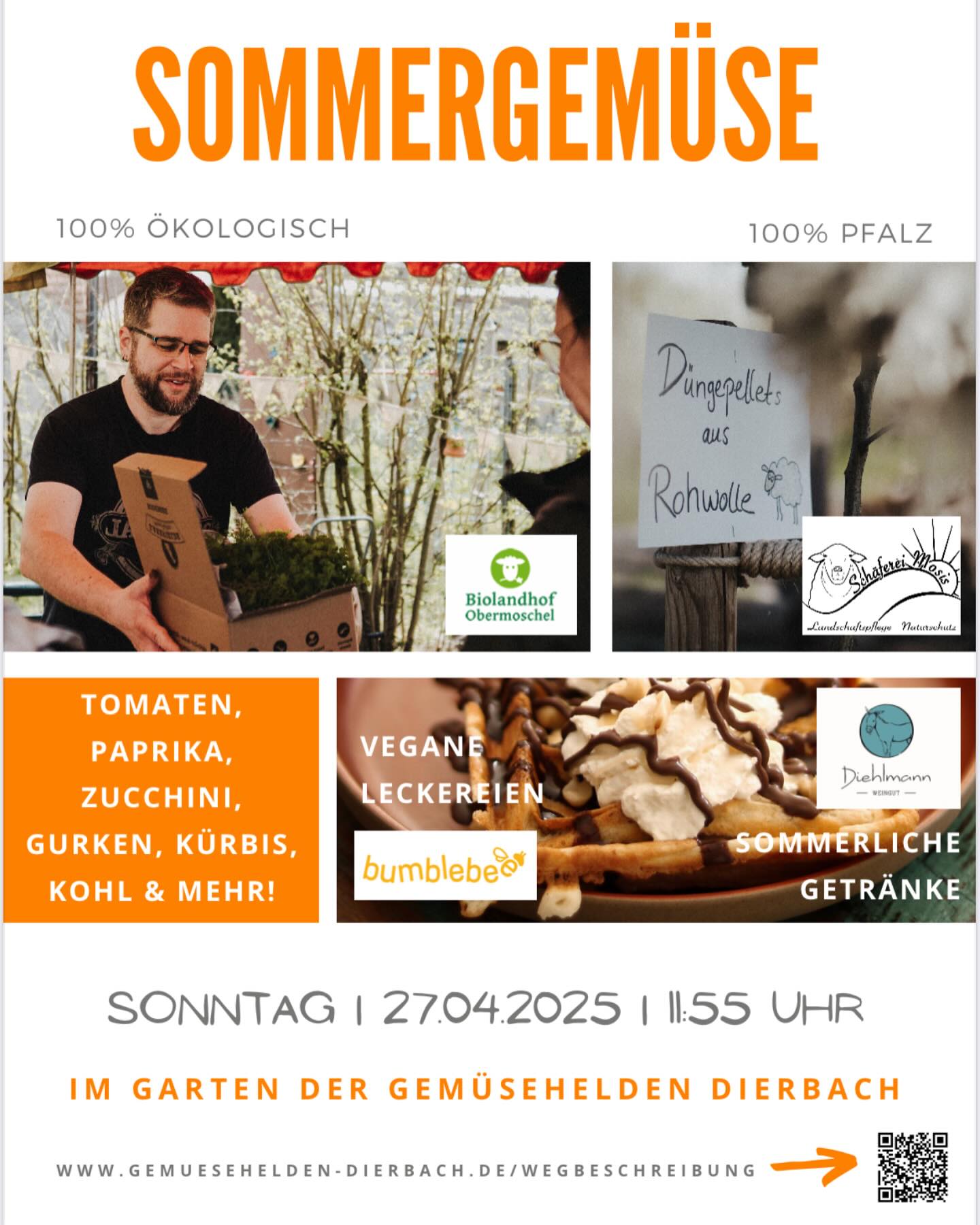 ☀️🌸🌻 Wir freuen uns schon auf Sonntag…bei den Gemüsehelden in Dierbach! 🍅🥒🥬🥦🥕🧄🧅🫑🫛☀️🌸🌻