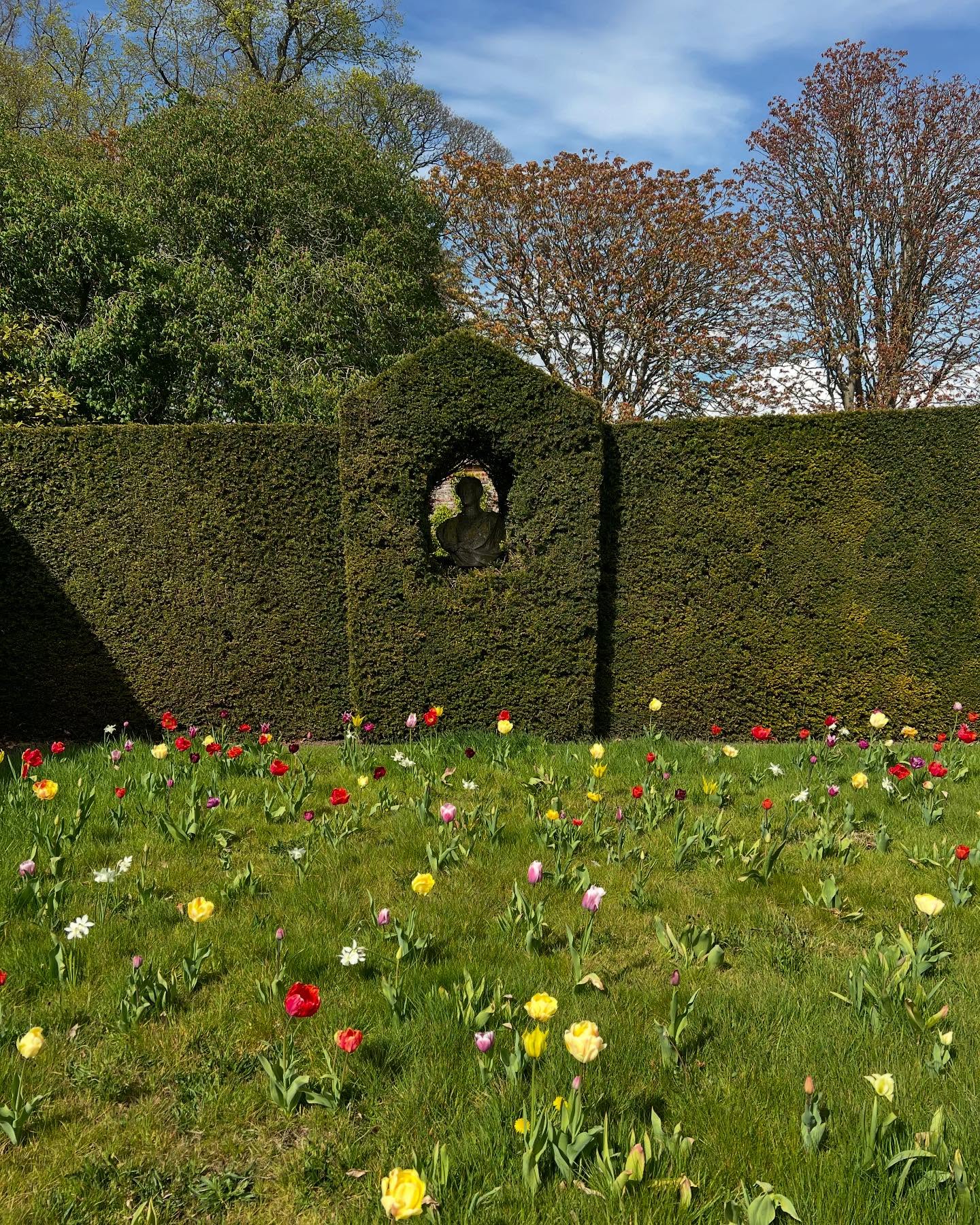 Tulip fever in @houghton_walled_garden #tulips #garden #norfolk