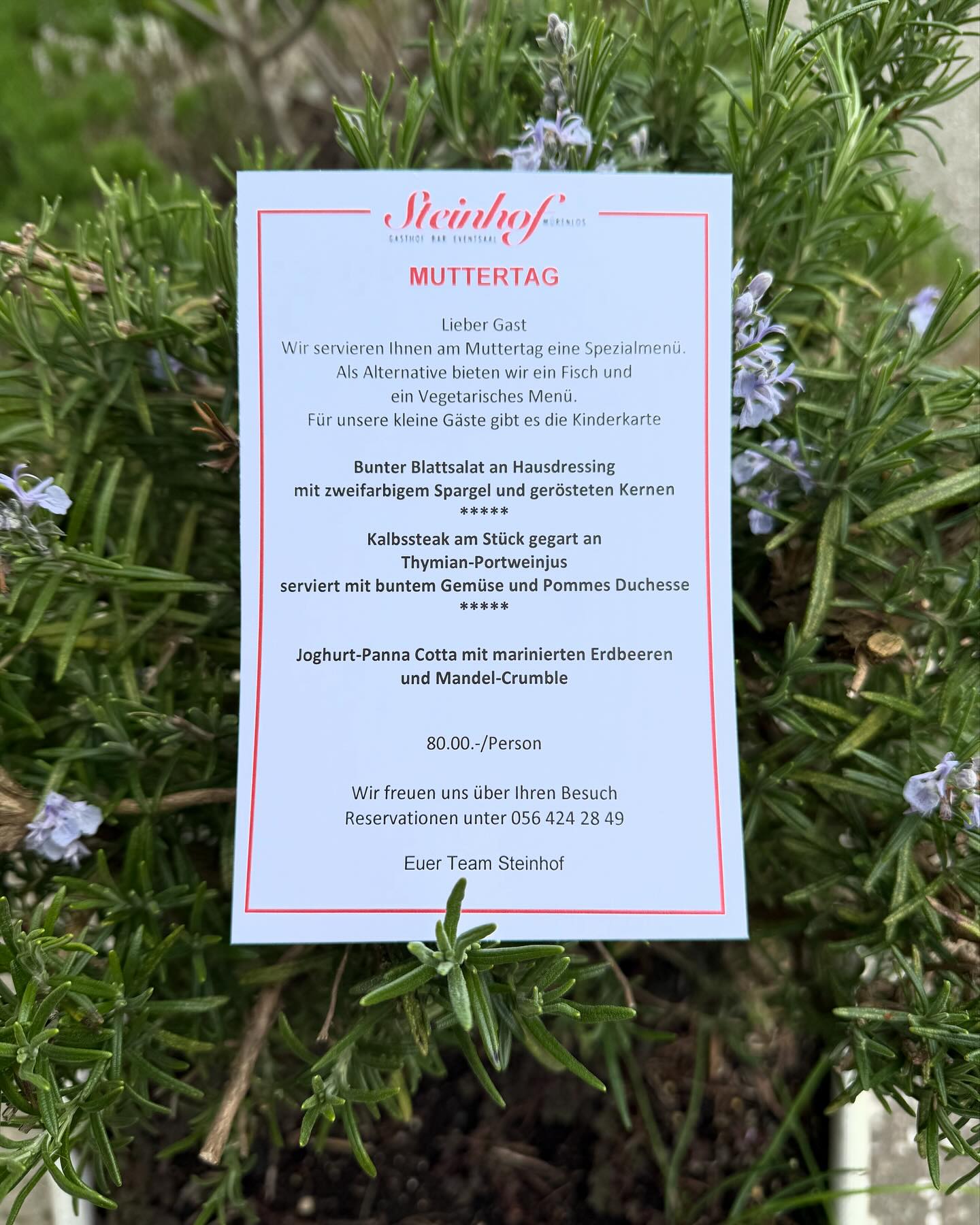 11.Mai 2025
Wir freuen uns auf euch
Euer Team Steinhof❤️