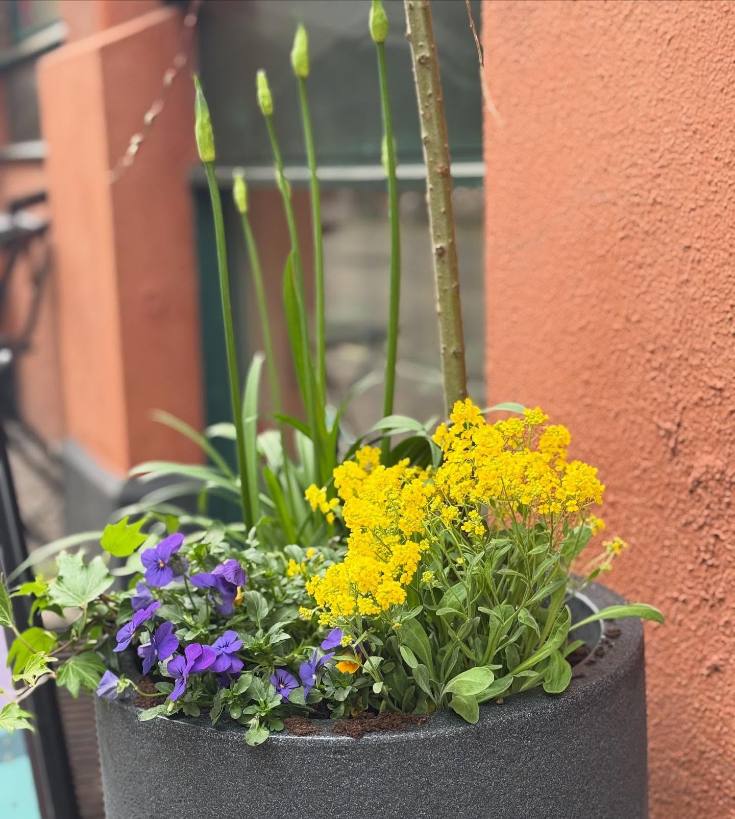 Glad Påsk önskar vi alla kunder och följare. Nu håller vi stängt över påsk. Din tid kan du alltid boka på vår hemsida, länk i vår bio. Stor kram 🐣🥰🐣