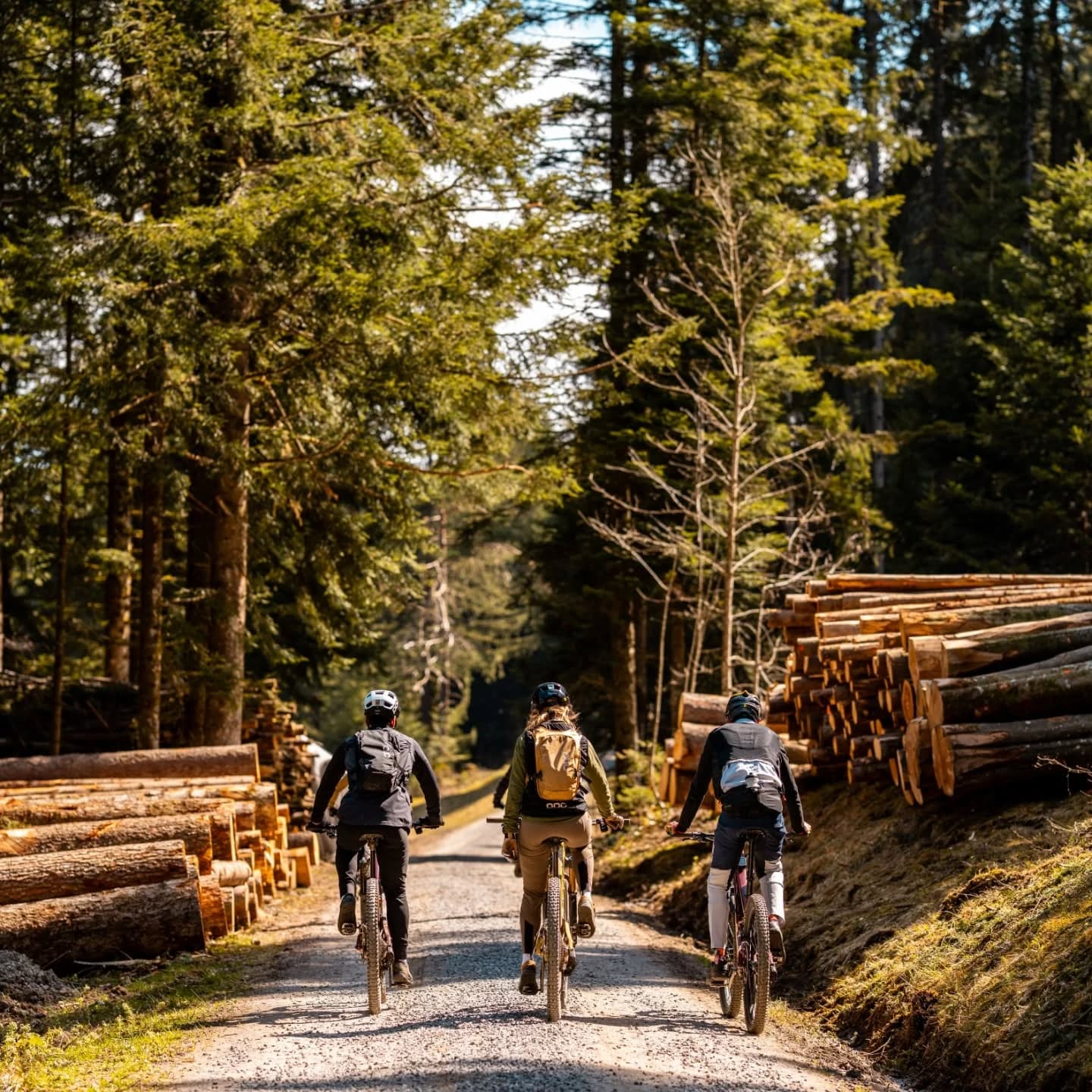 Ride Out and Art von @3iiiit
Wir leben was wir verkaufen 🤘🛠
#mtbswitzerland#soenduro#switzerland#stoeri2radcenterherisau#bikeshop#mtb#bikeporn#outsideisfree#mtblove#lifebehindbars