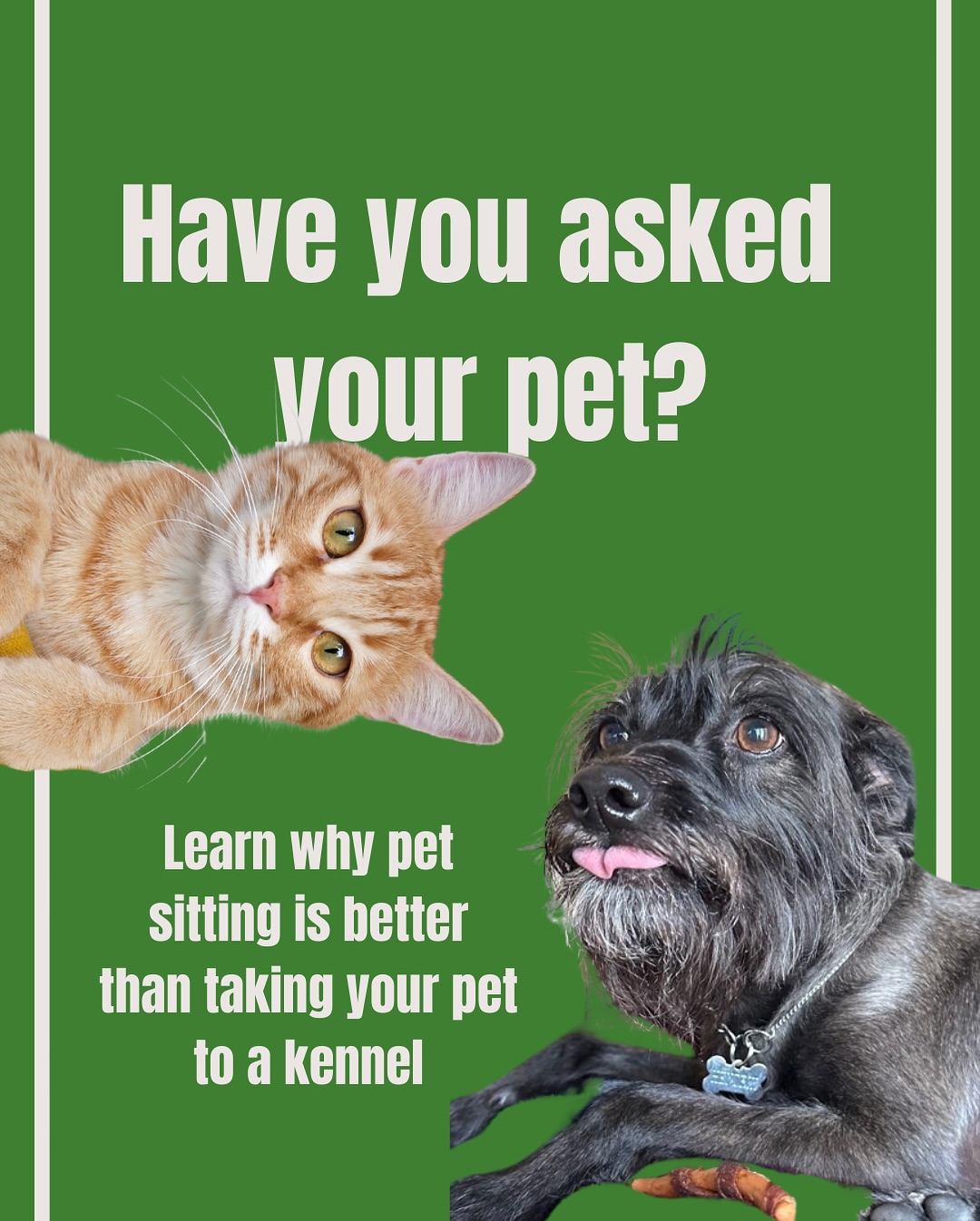 If your pets could talk, they would probably ask to stay at the comfort of your home when you’re away.
We present to you some of the many reasons pet sitting is better than taking your furry friends to a kennel service! 🏡🤝🏼❤️