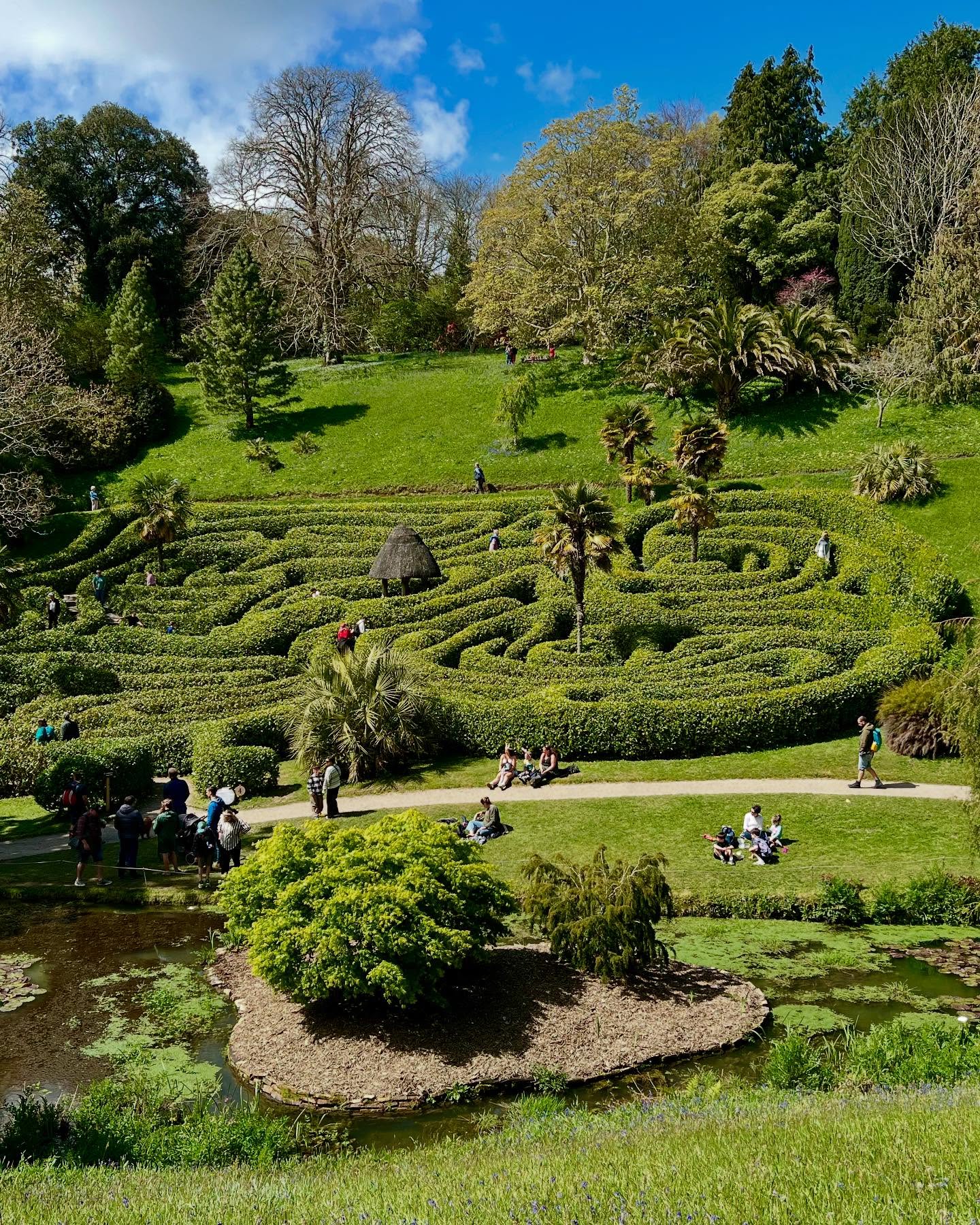 Glendurgan Garden near Falmouth… another National Trust gem…
#nationaltrust #beautifulgardens #visitcornwall
#cornwall #maze