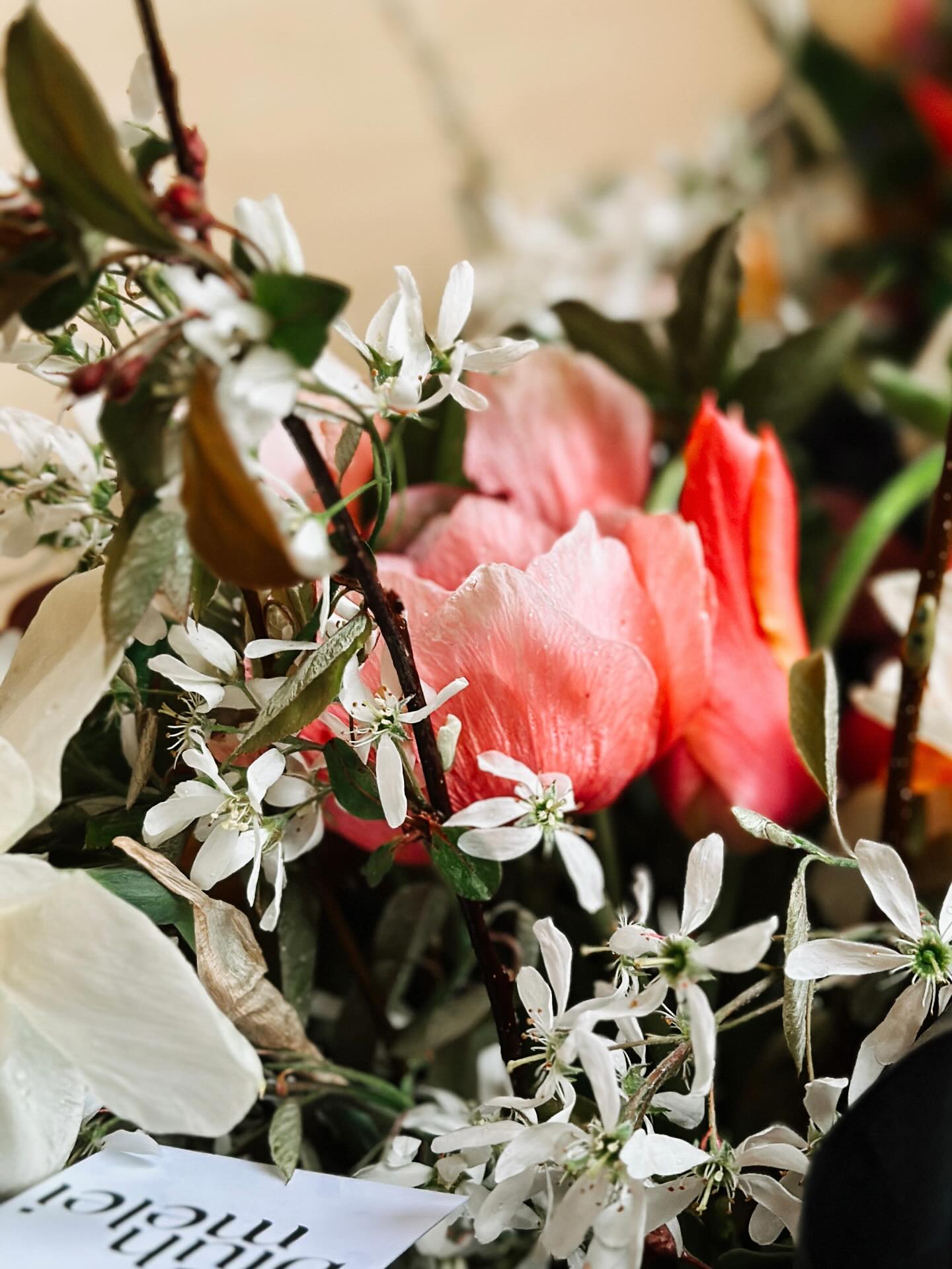 Ich nenne dieses Bild:
„Frühlingsregen küsst die Erde wach –
und aus jedem Tropfen blüht ein neues Leben.“
#blumenimfrühling #springflowers #blumendieanmorgendenken