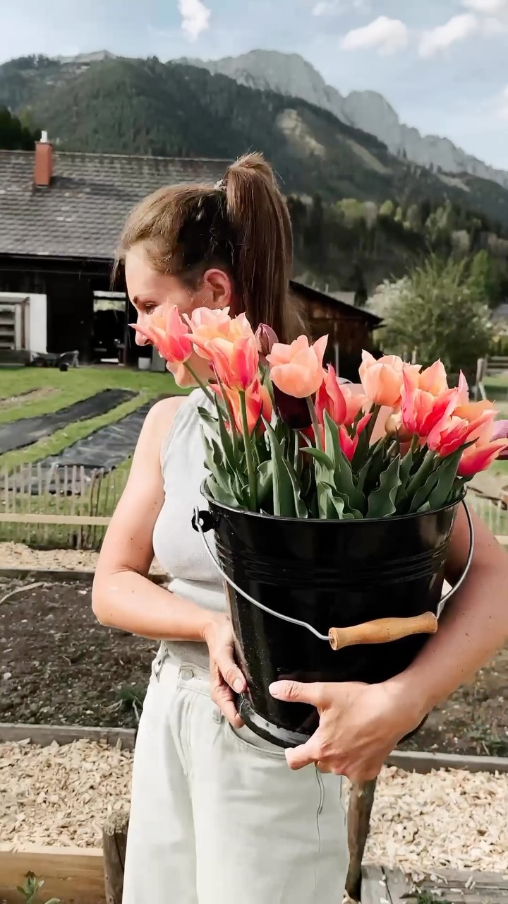 Jetzt ist Tulpenzeit!
Danke für eure vielen Bestellungen in den letzten Tagen!
Genießt die superschönen Frühlingsstars noch,
solange es sie gibt! 🌷🫶
Hände hoch, wer ist auch so schwer in Love wie ich?!
#tulpen #tulpenüberalles #slowflowerbewegung #blumenmachenglücklich #blumendieanmorgendenken