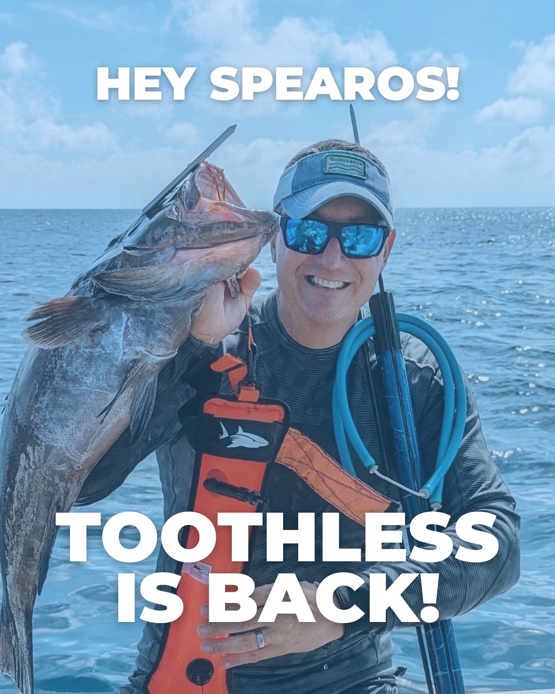 we are BACK BABY!!!🤩💪🏼 pre-orders are open and will be shipped April 25th! get your gear before grouper season opens 😎
#spearo #spearfisher #spearfishing #scubadiving #floridasummer
