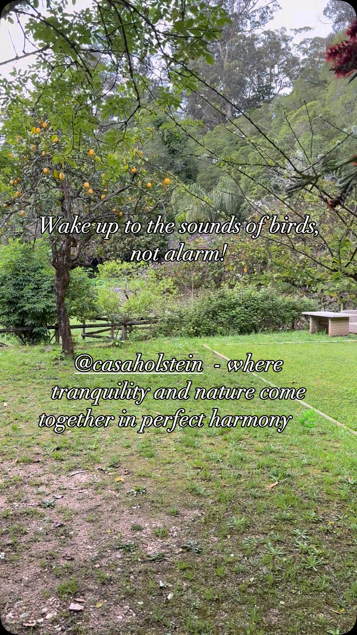 Discover @casaholstein - our elegant sister property in the Sintra ๐ฟ. #boutiquehotel #hiddengems #wedding #weddingvenues #eventplanners