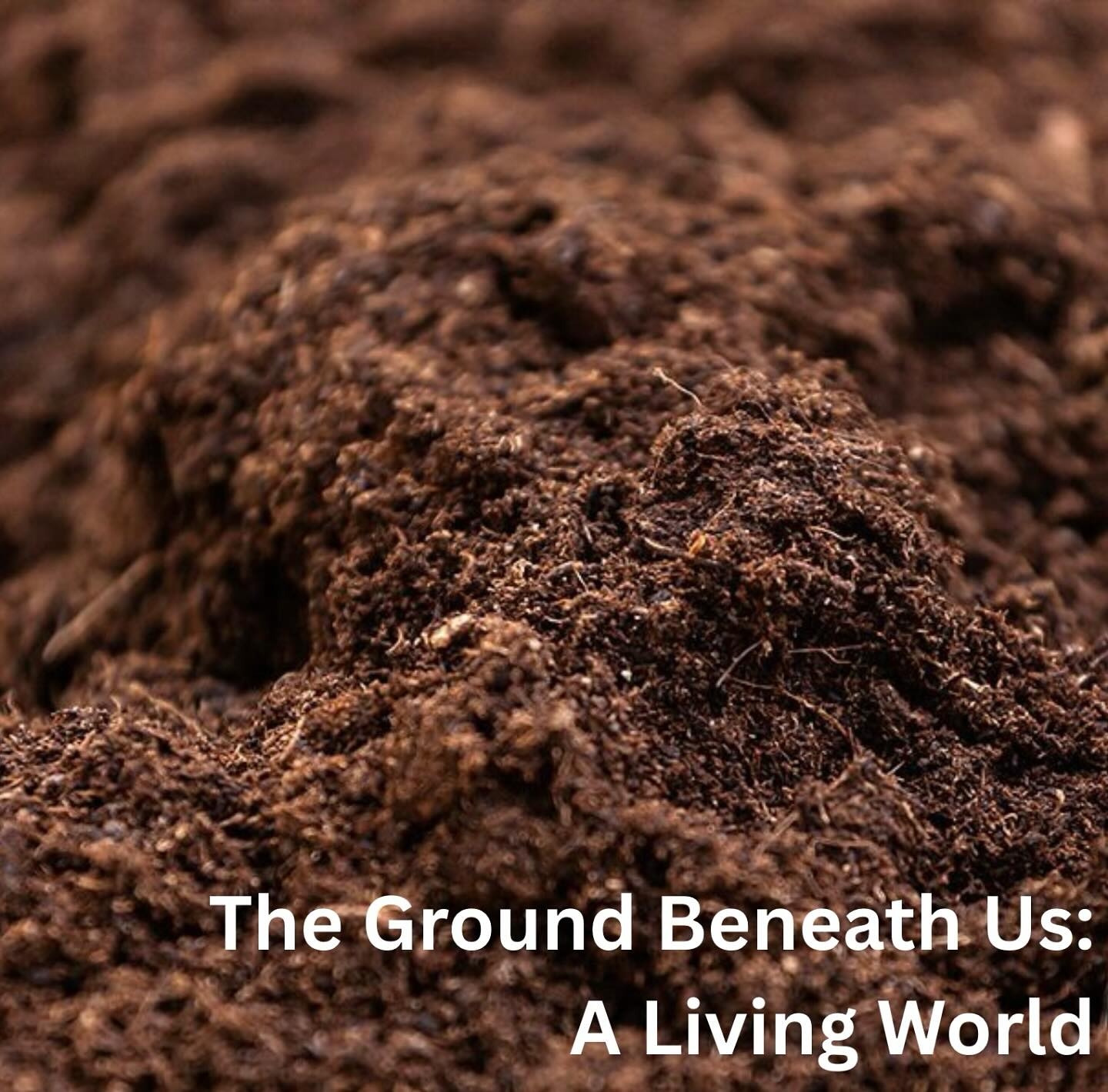 Did you know that a single teaspoon of healthy soil contains more organisms than there are people on Earth? Soil isn’t just dirt—it’s a bustling ecosystem that supports life above and below ground!
Source: Deteriorating soil health: ‘A teaspoon of soil contains more life than there are humans on earth’