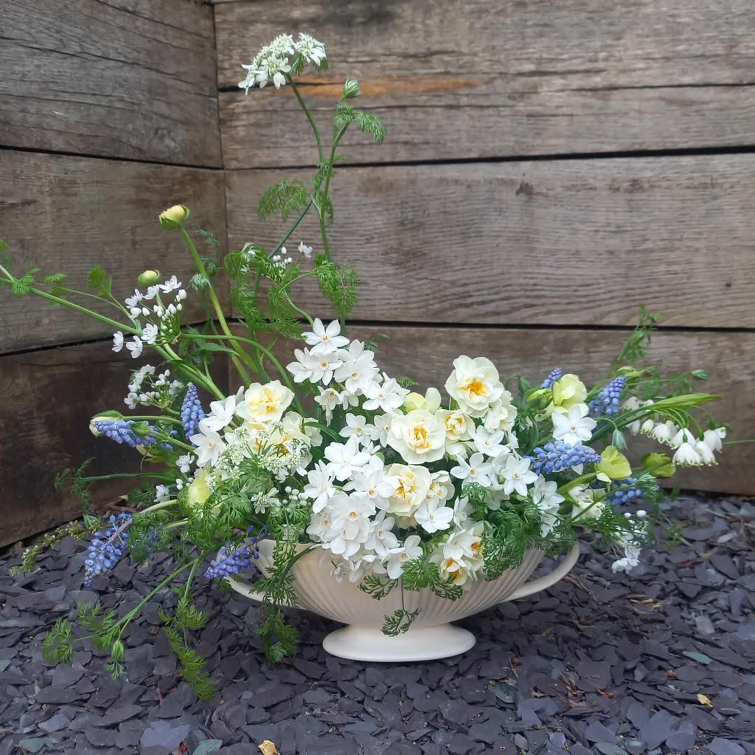 The prettiest leftovers for a Sunday floral faff. I can't get enough of paperwhites with their cute little faces and amazing smell - delish! 🌿
#floralfaffing
#floralarrangements
#floristry
#vintagevase
#nofloralfoam
#mantlepiecedecor
#surreyweddingflowers
#surreyflorist
#springflowers
#carshalton
#carshaltonbeeches