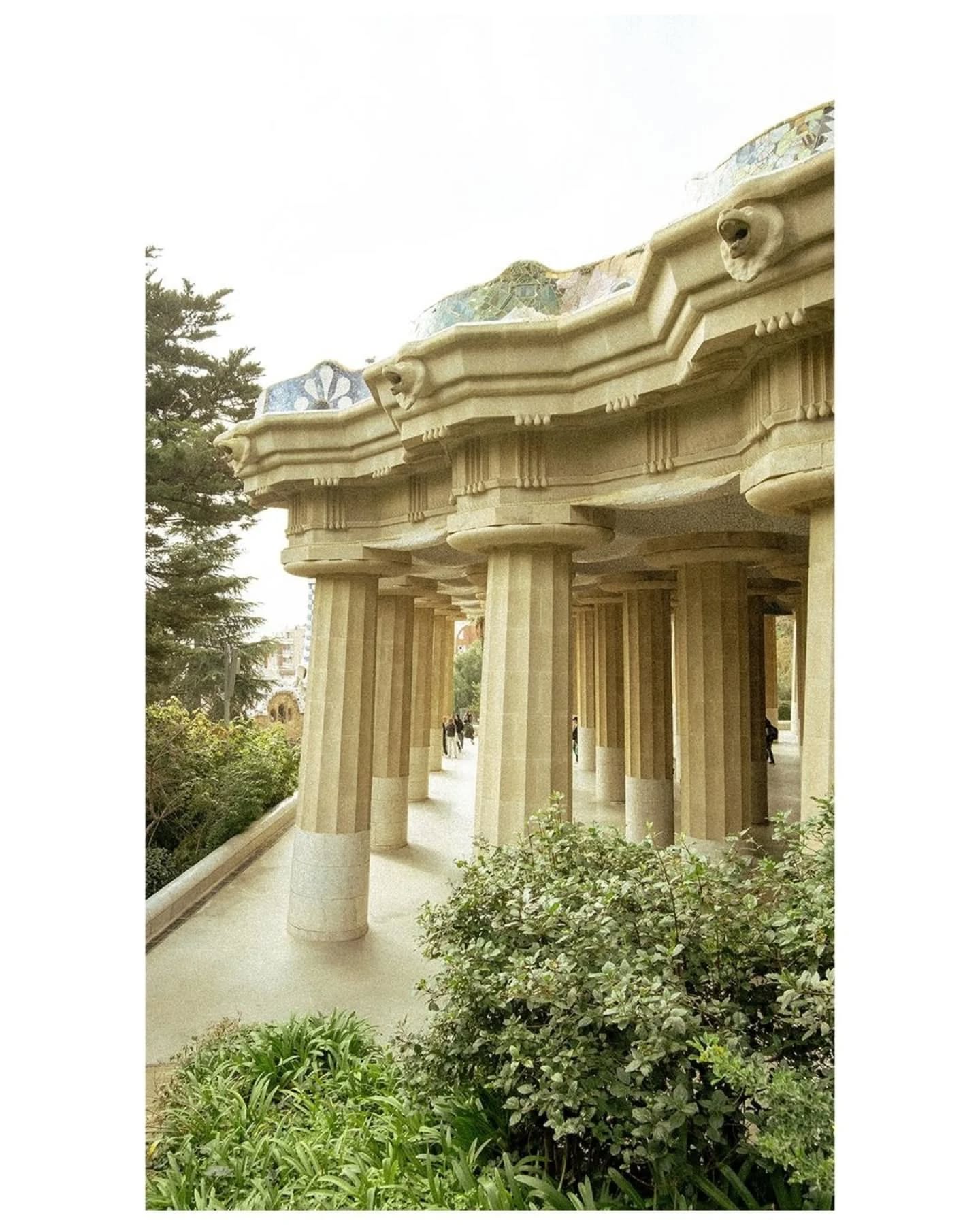📍 Park Güell
#Fujifilmxt30ii #Fujifilm #FilmPhotographer #TorontoFilmPhotographers #TorontoFilmPhotography #PhotoOfTheDay #PhotographyDaily #fujifeed #myfujifilm #Spain🇪🇸 #Barcelona #ParkGüell