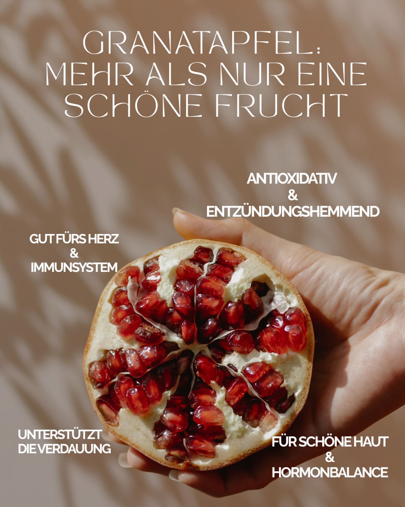 Granatapfel – eine Frucht, die mehr kann als nur gut aussehen.
Ob für dein Herz, deine Verdauung oder strahlende Haut – die Power steckt in jedem einzelnen Kern. 🍇✨
Ich liebe es, solche natürlichen Unterstützer in meinen Alltag zu integrieren!
👉 Hast du Granatapfel schon mal bewusst für deine Gesundheit genutzt?
Erzähl mir in den Kommentaren, wie du ihn am liebsten genießt – pur, im Salat oder als Saft?
#Darmgesundheit #Granatapfelpower #NatürlichGesund #SuperfoodLiebe #GanzheitlichLeben #HolistischeGesundheit