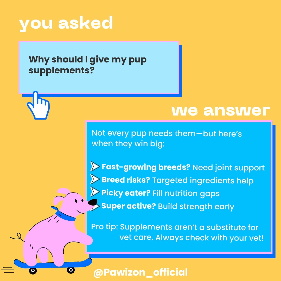 Not every pup needs supplements — but when they do, it makes a big difference.
✅ Fast growth
✅ Breed risks
✅ Picky eaters
✅ Super active pups
Give them the support they deserve. 🐾
#DogHealth #dogcare #PupCare #doghealthtips #dogsupplements