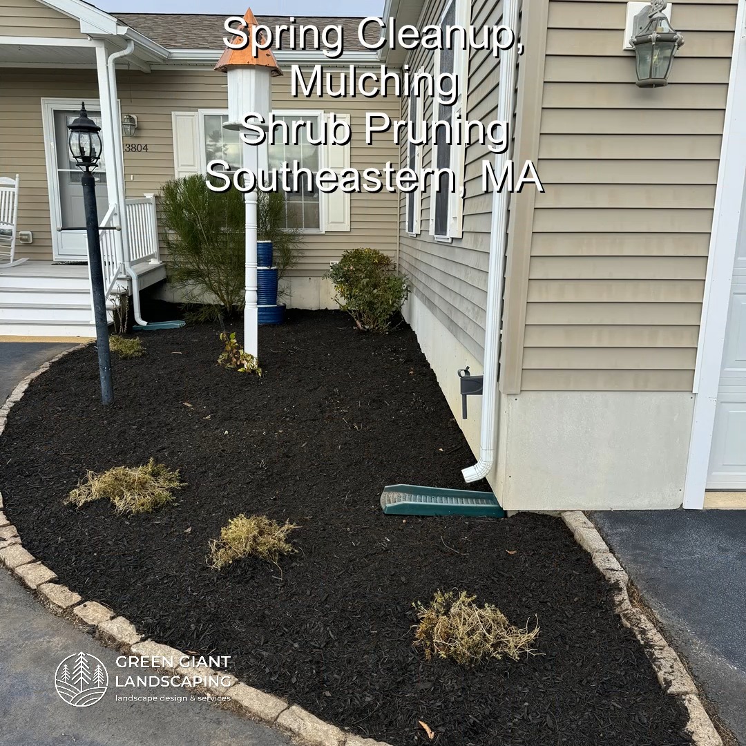 Sping Cleanup 2025.
Landscaping Southeastern, MA.
Call now for your free quote!
Plants installation
Tree and shrub care
Seasonal cleanups
Bobcat services
Old overgrown shrubs removal
Mulch installation
Garden maintenance
Professional Landscape Design.
https://www.greengiantlandscaping.com/.../spring-cleanup...
Phone:
+1 413-406-9094
#landscaping #landscapedesign #gardening #gardendesign #landscaper #landscapearchitecture #treeandshrubtrimming #mulch #Massachusetts #southshore #newton #boston #hingham #marshfield #scituate #NewtonMA #scituatema #milton #canton #wellesleyma #SpringCleaning #shrubtrimming #shrubcare #plantingseason #plantingtrees #plantingdesign #gardentransformation #springcleanup #mulching