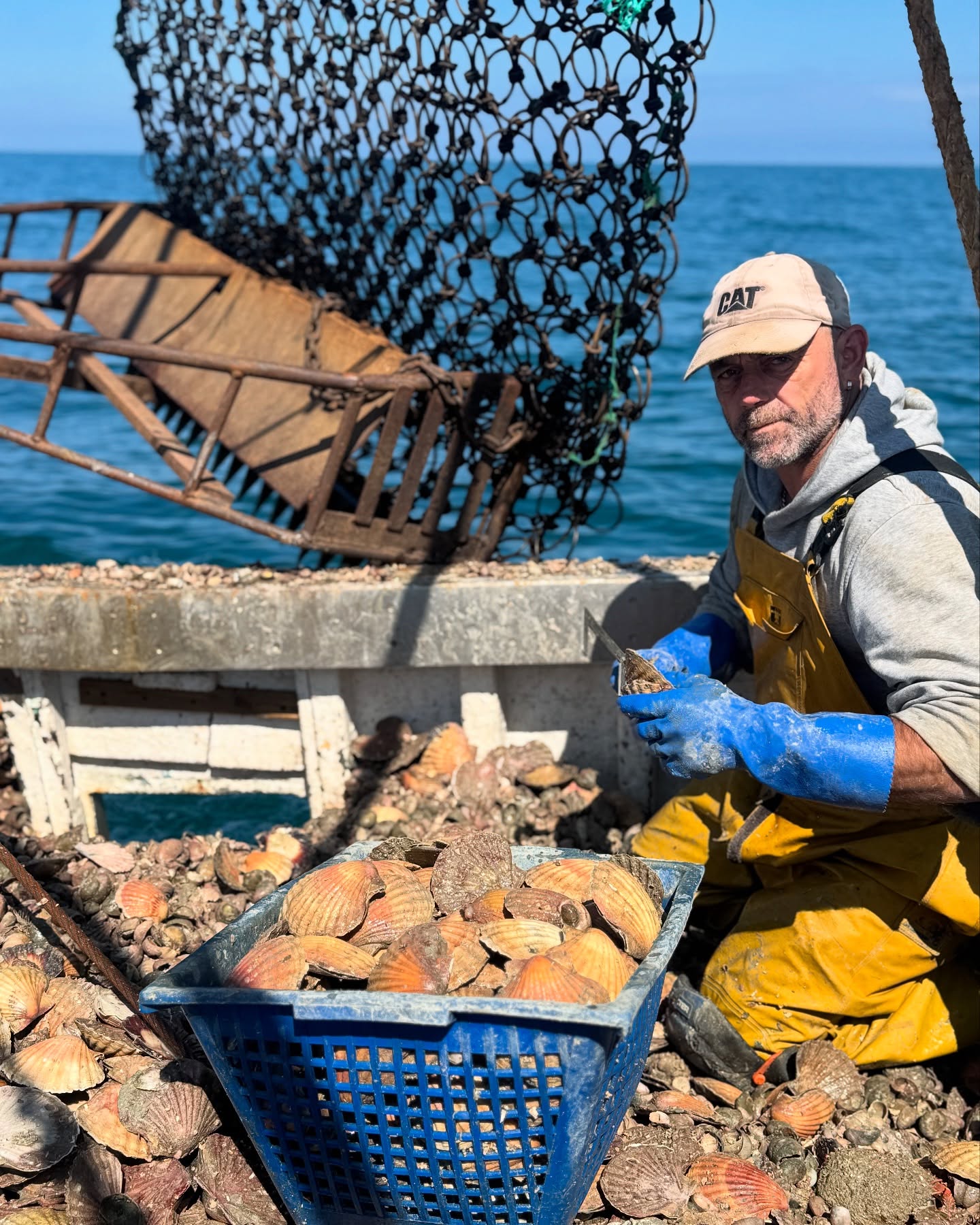 🎬 Clap de fin 🎬
C’est la fin de la saison pour les coquilles Saint-Jacques!
Un grand MERCI à tous pour votre fidélité et vos bons moments partagés
👉🏼On se retrouve en octobre pour une nouvelle saison de coquilles, de la baie de Saint-Brieuc !!!
En attendant, pas de panique 😱
Il y a toujours de quoi se régaler !!!!
Araignées de mer 🦀 et poisson 🐠 ultra frais, tous les samedis matin de 10h à 12h
📍À la petite boutique
On vous attend !
#providence #araigneesdemer #araignees #poisson #fish #local #ultrafrais #coquillessaintjacques #coquillesaintjacquesdelabaiedesaintbrieuc #coquillesstjacques
#venteendirectdupecheur #femmemarinpecheur #womenofthesea #womenfishing
#erquy #erquytourisme #bretagne #capderquyvalandré
#bretagnetourisme #mydinancapfrehel #bretagneforever #pourdebon #expedition #24h