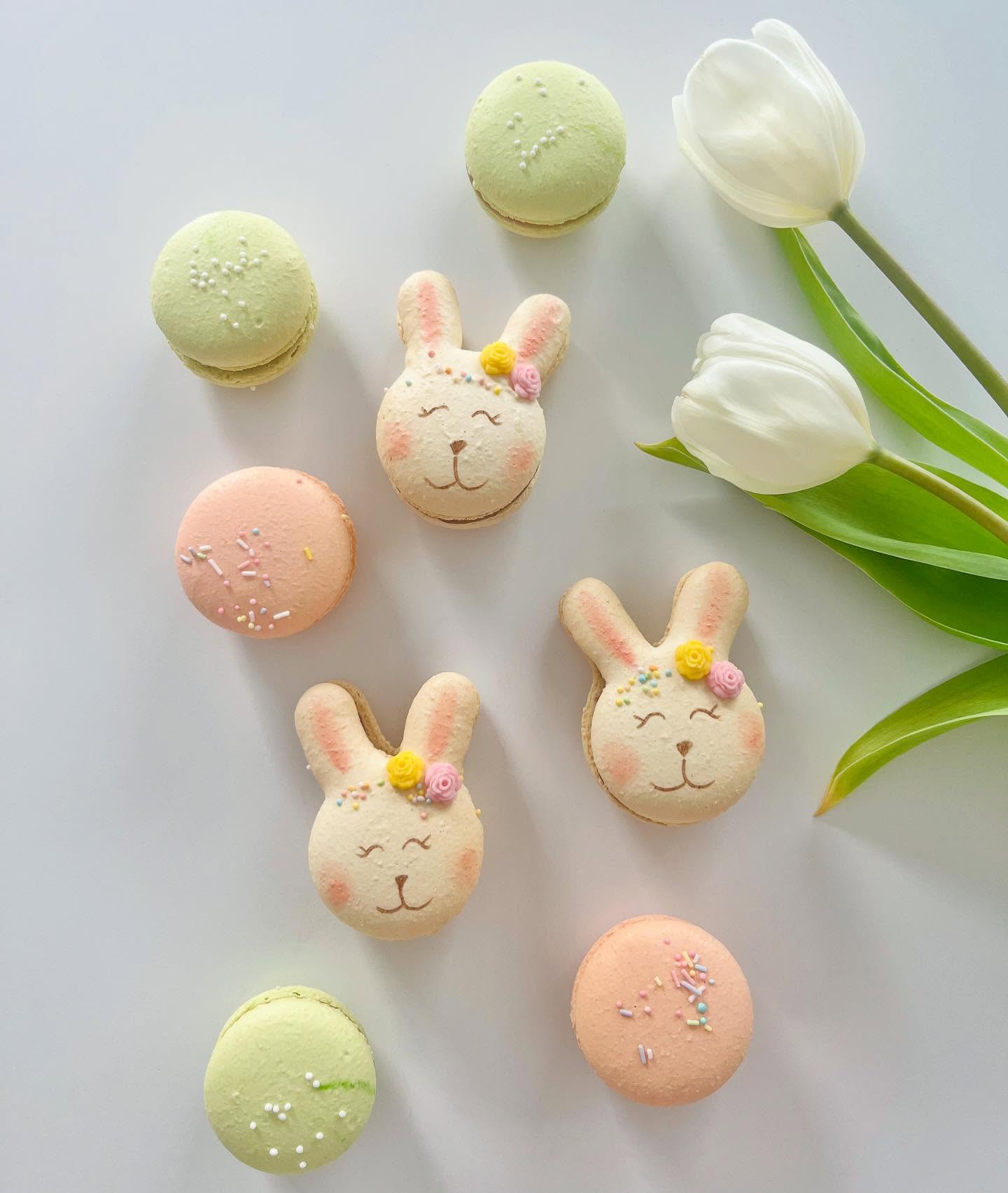 🐰 Vrolijk Paasweekend 🐰
Geniet van het heerlijk lange weekend en alle chocolade 🤭
Dit jaar was er geen paasspecial, want alles draait zoals jullie weten nog steeds op een laag pitje hier.
Maar voor moederdag komt er wel opnieuw een special, pinky promise 😉 binnenkort toon ik je hier de voorbeeldjes 🫶🌸
#vrolijkpasen #paasmacarons #eastermacarons #happyeaster #konijnmacarons #bunnymacarons #macaronlove #macaronlady #zozoetmacarons #macaronsoostende