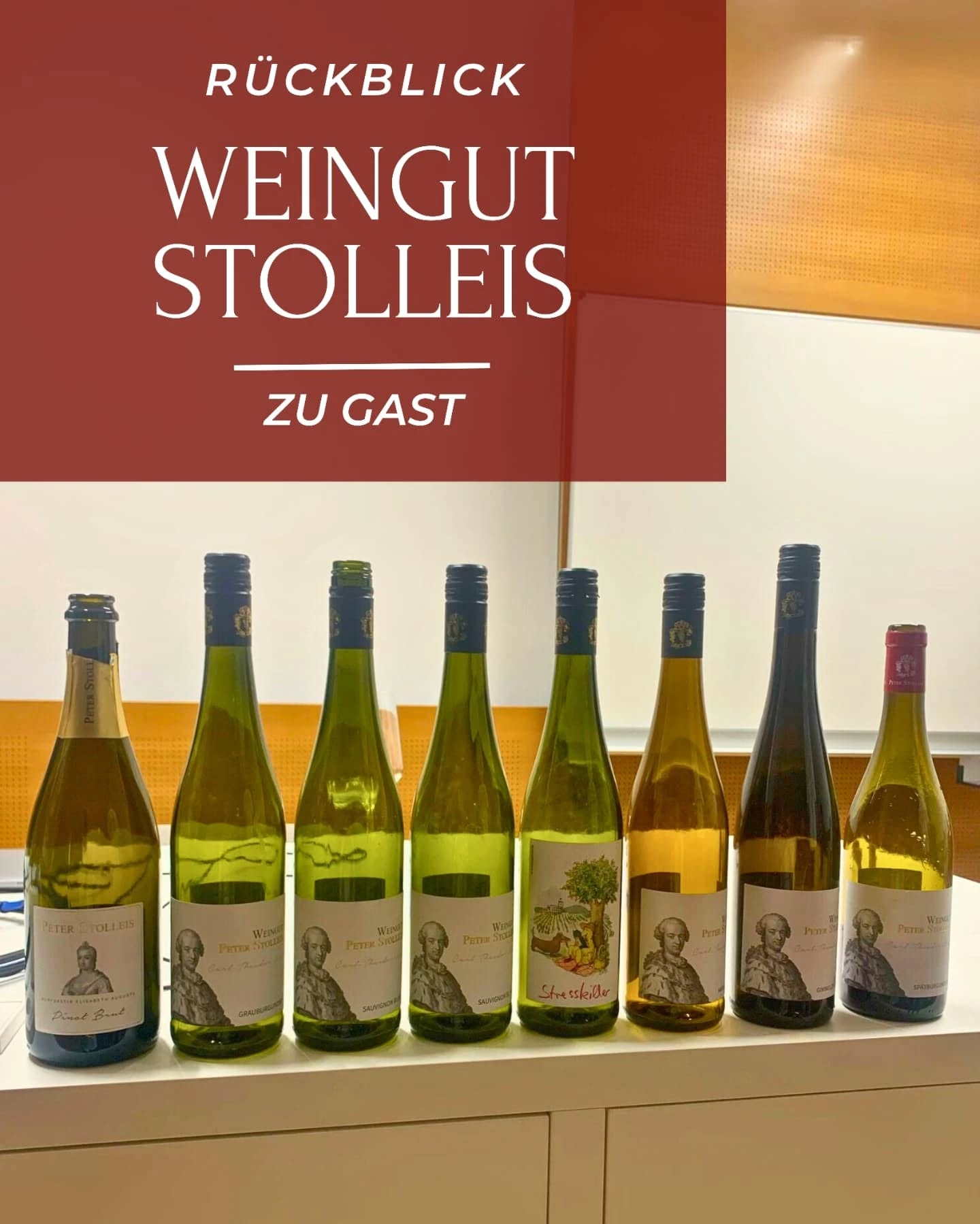 Am 3. April durften wir Hans-Christoph vom @weingut_stolleis bei vinUM als besonderen Gast begrüßen! 🍇
Als Winzer in der 12. Generation, brachte Hans nicht nur fundiertes Fachwissen über den Anbau, die Verarbeitung und den Verkauf von Wein mit, sondern ließ uns durch persönliche Einblicke und Anekdoten auch an der Geschichte und Philosophie seines Weinguts teilhaben.
Begleitet wurde der Abend dabei mit einer sorgfältig zusammengestellten Auswahl von insgesamt 8 Weinen, bei der für alle etwas dabei war!
Wir danken ganz herzlich für diesen ausgesprochen schönen Abend!
Cheers, euer vinUM-Team🍷
#vinUM #mannheim #unimannheim #wein #weinprobe #Gastwinzer #Pfalz