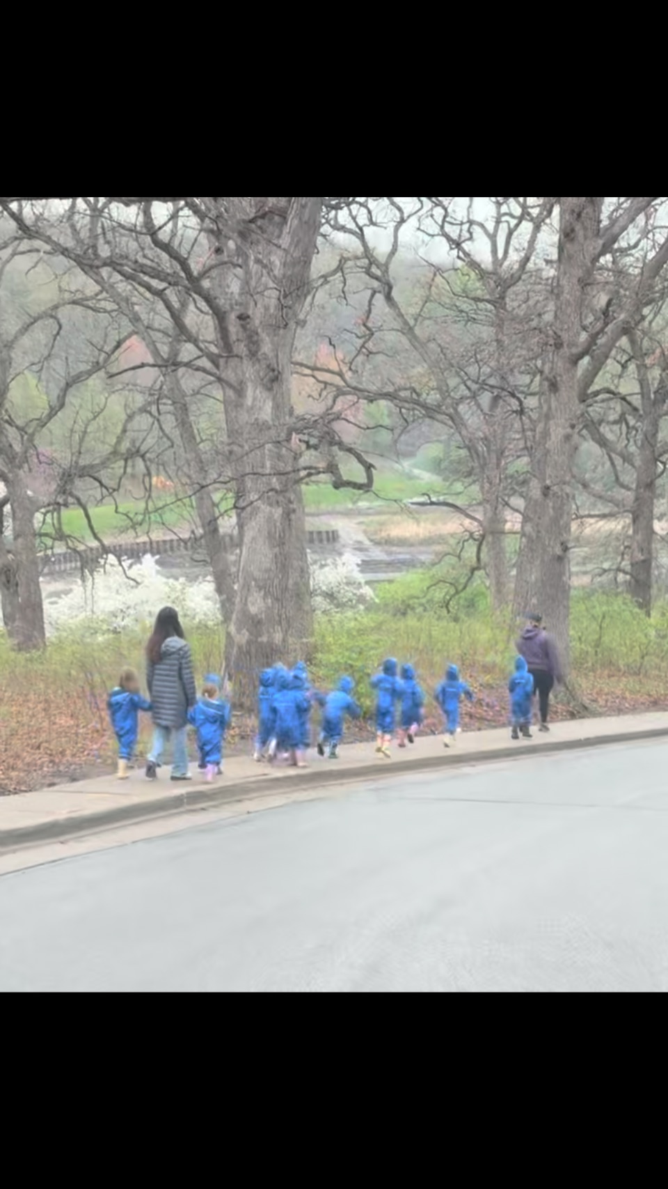 Seeking adventures rain or shine. This is Bergman.