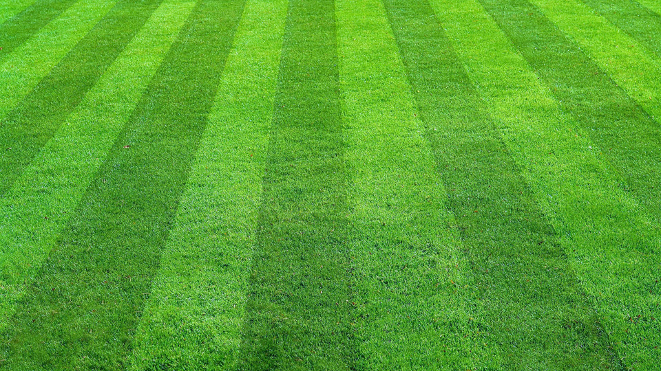 Remember all that grass-cutting after long days at work last year? We can help take some of the yards work off your plate so you can enjoy your property when you get off work rather than coming home to more work!
https://www.rfr.bz/i9ac557
#grass #cuttingthegrass #terrehaute #lawn https://www.rfr.bz/i9ac557 https://www.rfr.bz/id71327