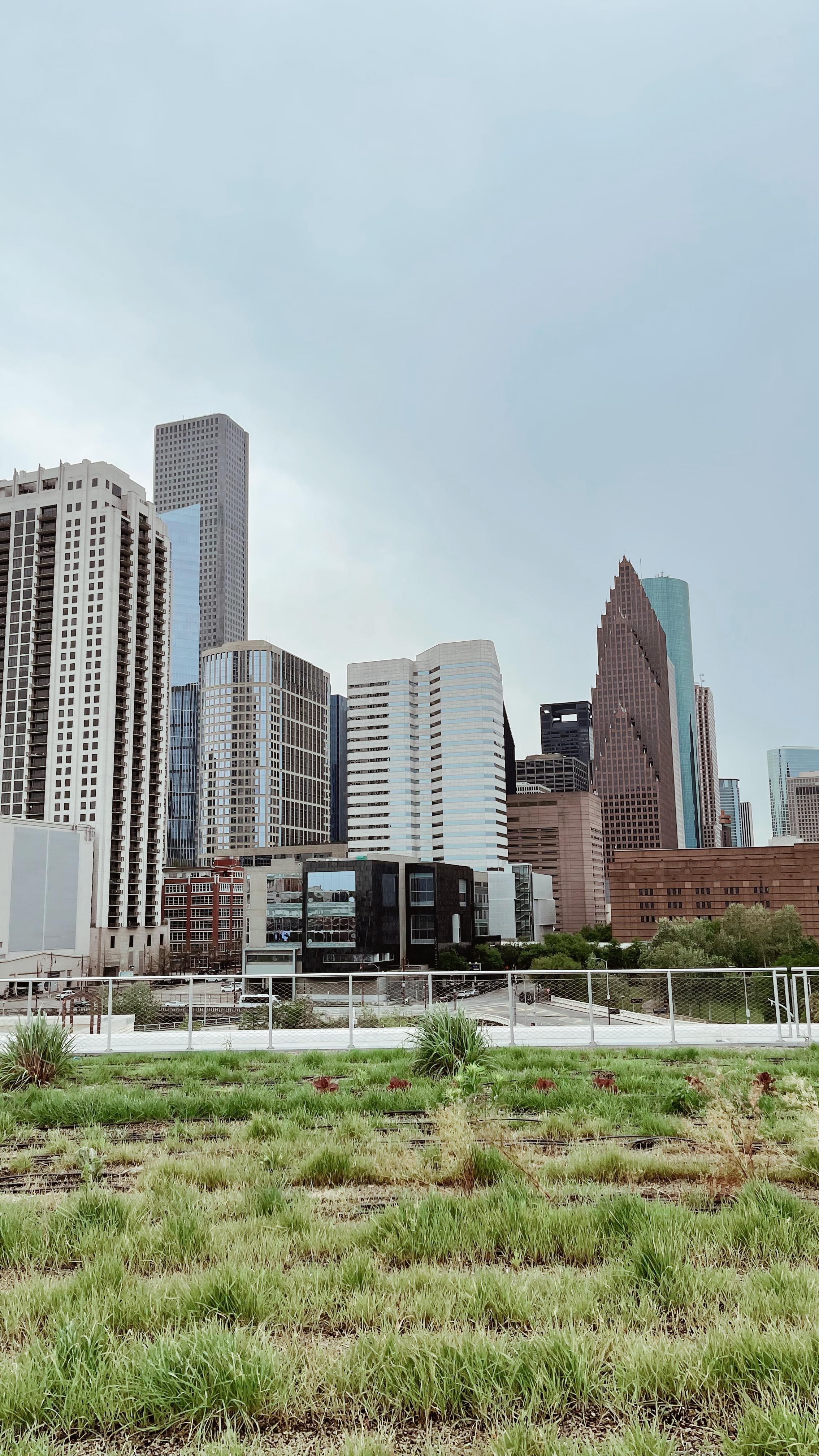 Lots of family time this weekend and some yummy food!!
I was in Htown yet again (when am I not there) to meet the new addition to the family ❤️
We had Katie’s Seafood in Galveston one day for dinner, which didn’t disappoint! I also had the opportunity to meet up with one of my best friends for lunch at The Toasted Coconut and we got to go to a Houston Rockets game (I came out of the womb cheering for the Rockets)!!
Until next time, Houston 🫶🏻
.
.
.
#exploreHOU #BestFoodHouston #houstontxfood #365Hou #girlswhotravel #houston #visithouston #LoveGalveston #weekendrecap