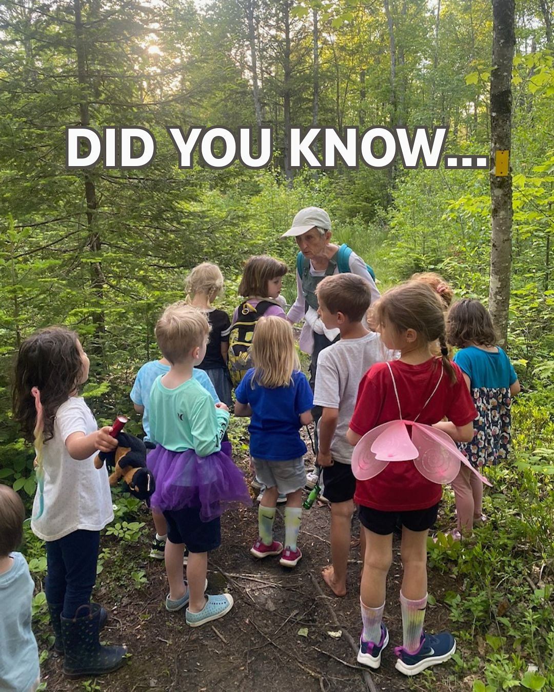 Stay up to date with all things ACT by subscribing to our monthly newsletter! 💌
The April newsletter just went out this week, so make sure to subscribe so you don’t miss May! 🌲
#arundelmaine #mainelandtrust #maineconservation
Are you a subscriber?? 👇🏽