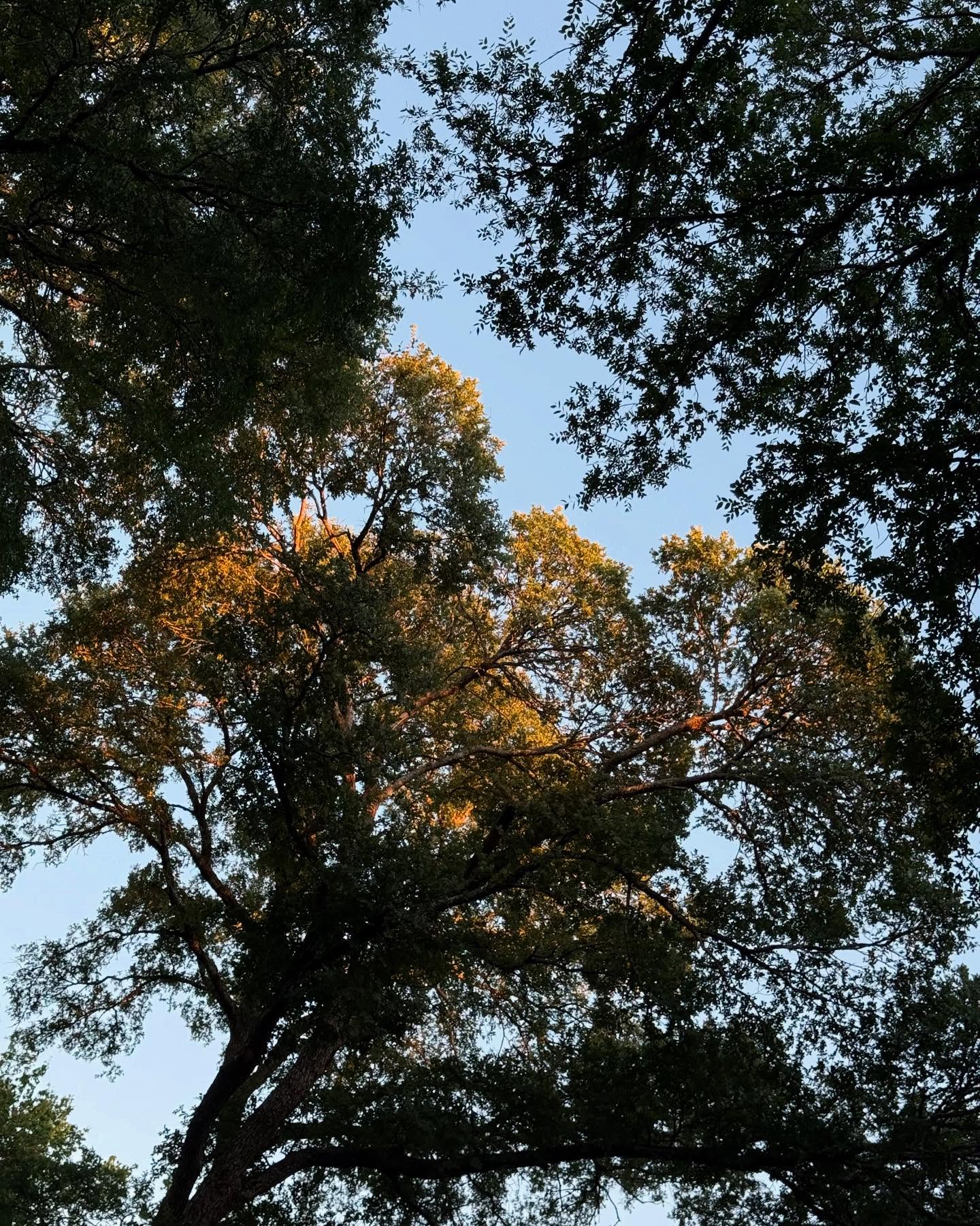 Some of my favorite photos lately (trying to learn to post again 😂)